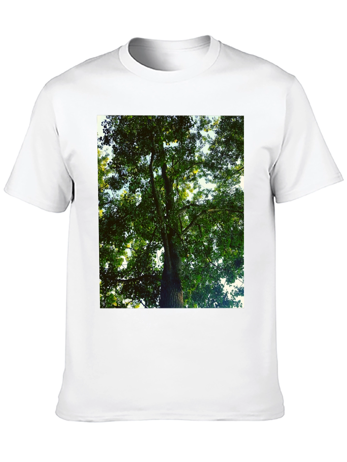 Black Nature Lover's Tree Print Black T-Shirt view 10