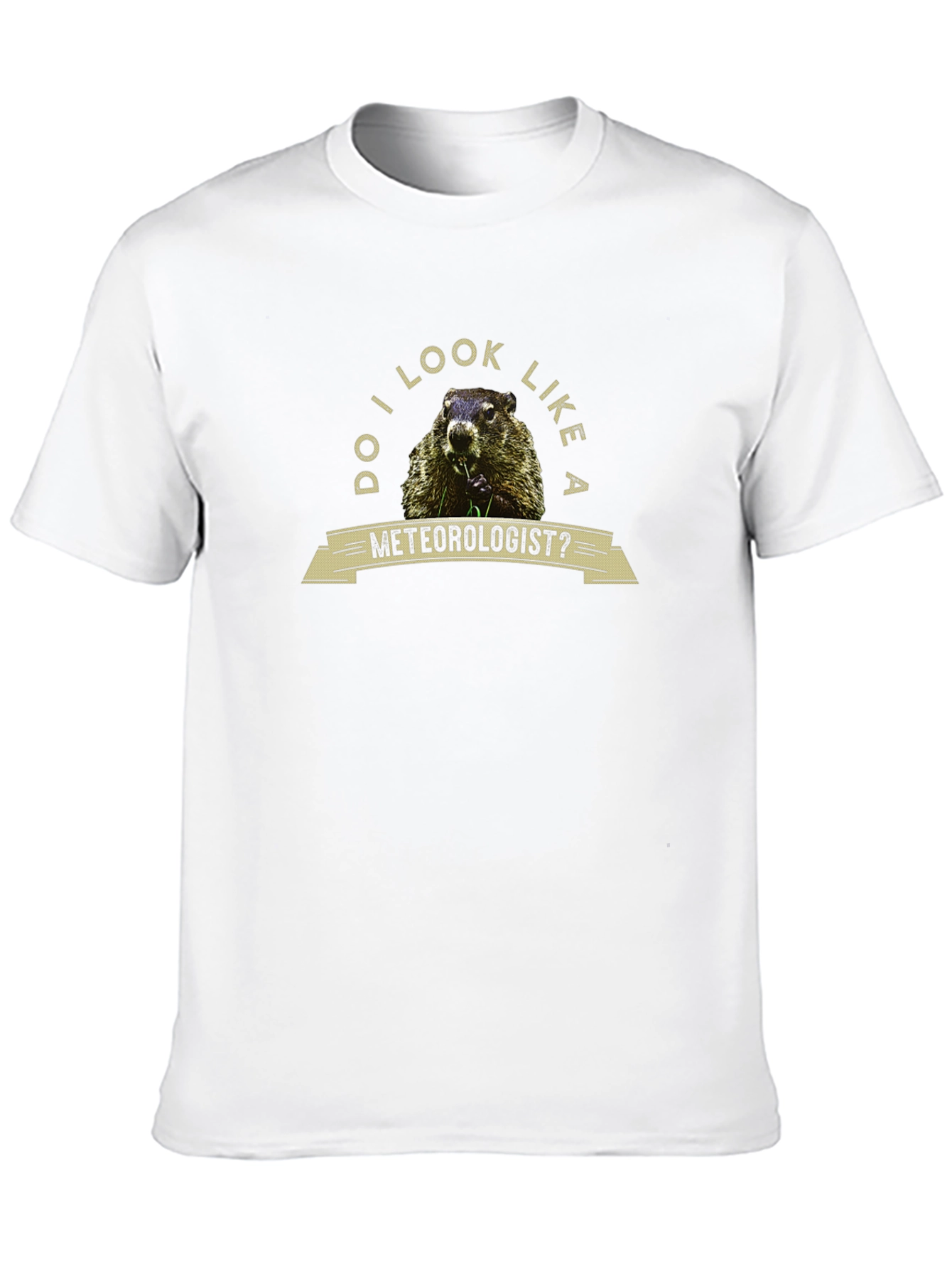 Black Funny Groundhog Meteorologist Graphic Tee view 10