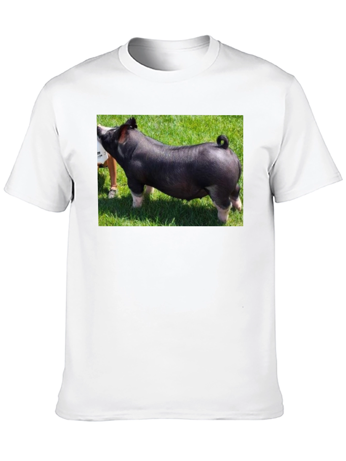 Black Black T-Shirt with Pig Graphic Tee view 10