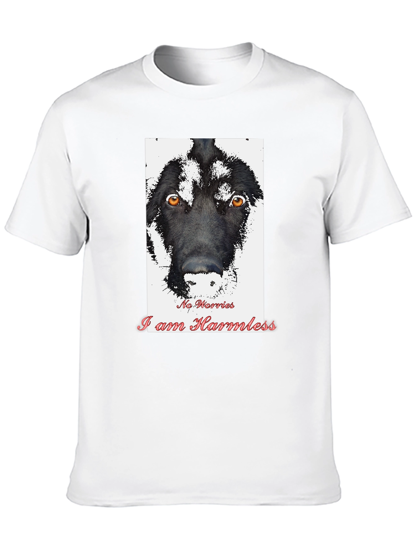 Black Harmless Dog Graphic T-Shirt view 10