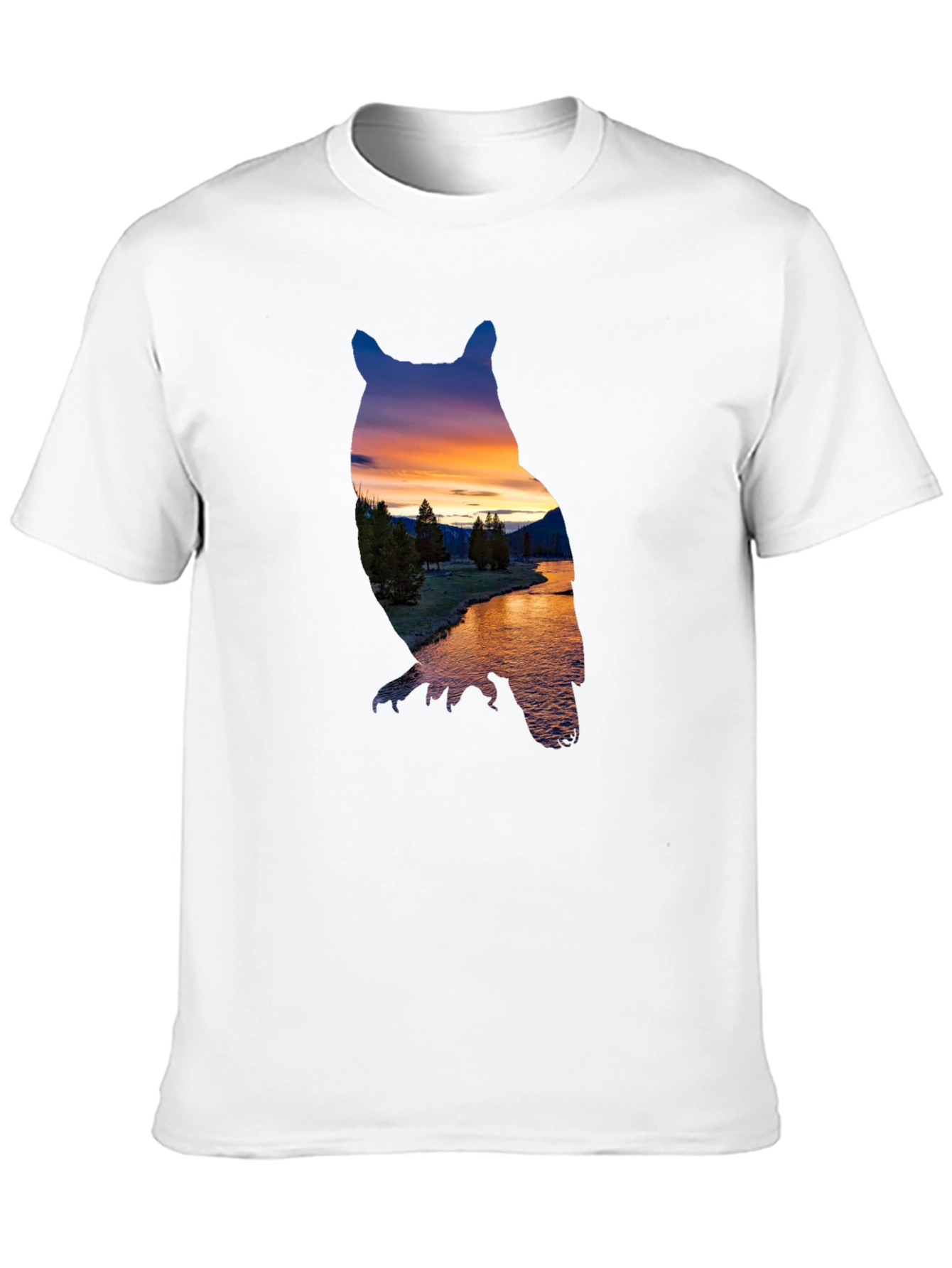Black Owl Sunset Graphic Tee view 10