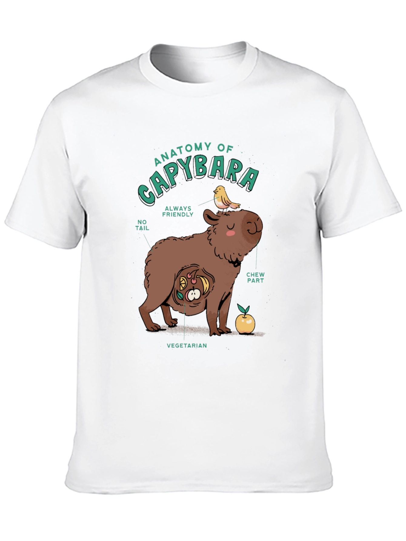 Black Anatomy of a Capybara Graphic T-Shirt view 10