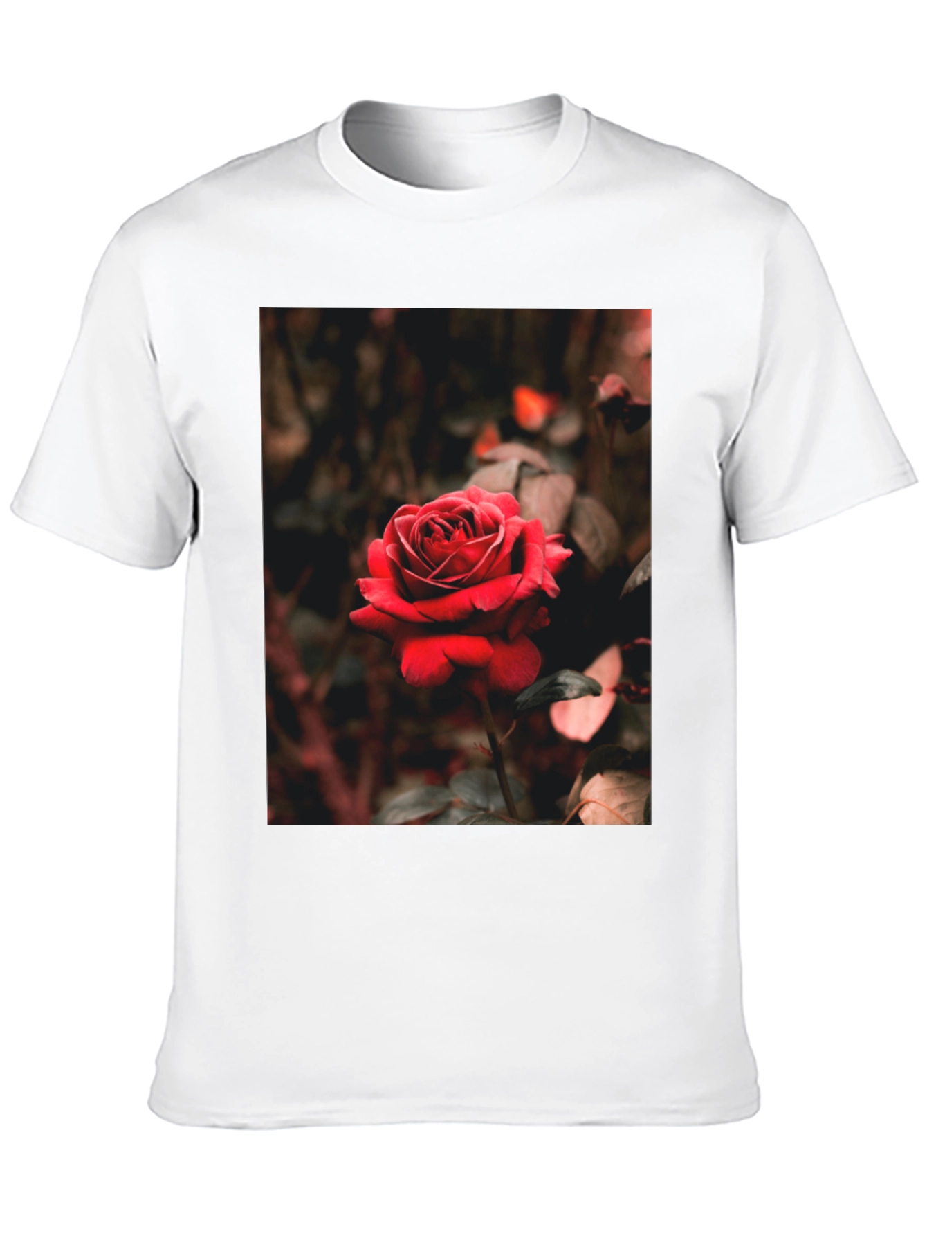 Black Rose Graphic Tee - Black Cotton T-Shirt view 10