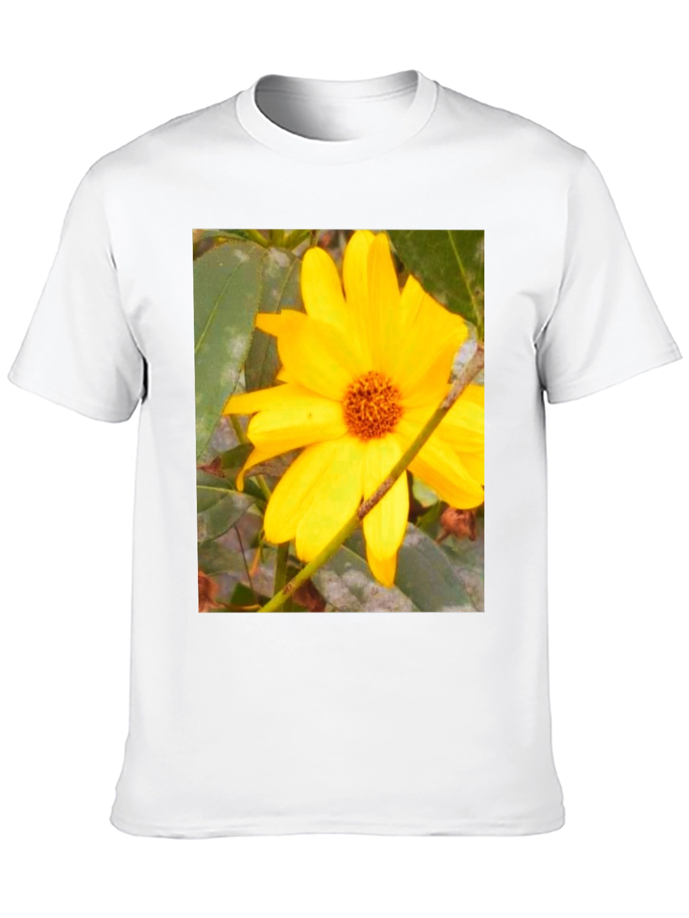 Black Sunflower Print Black T-Shirt view 10