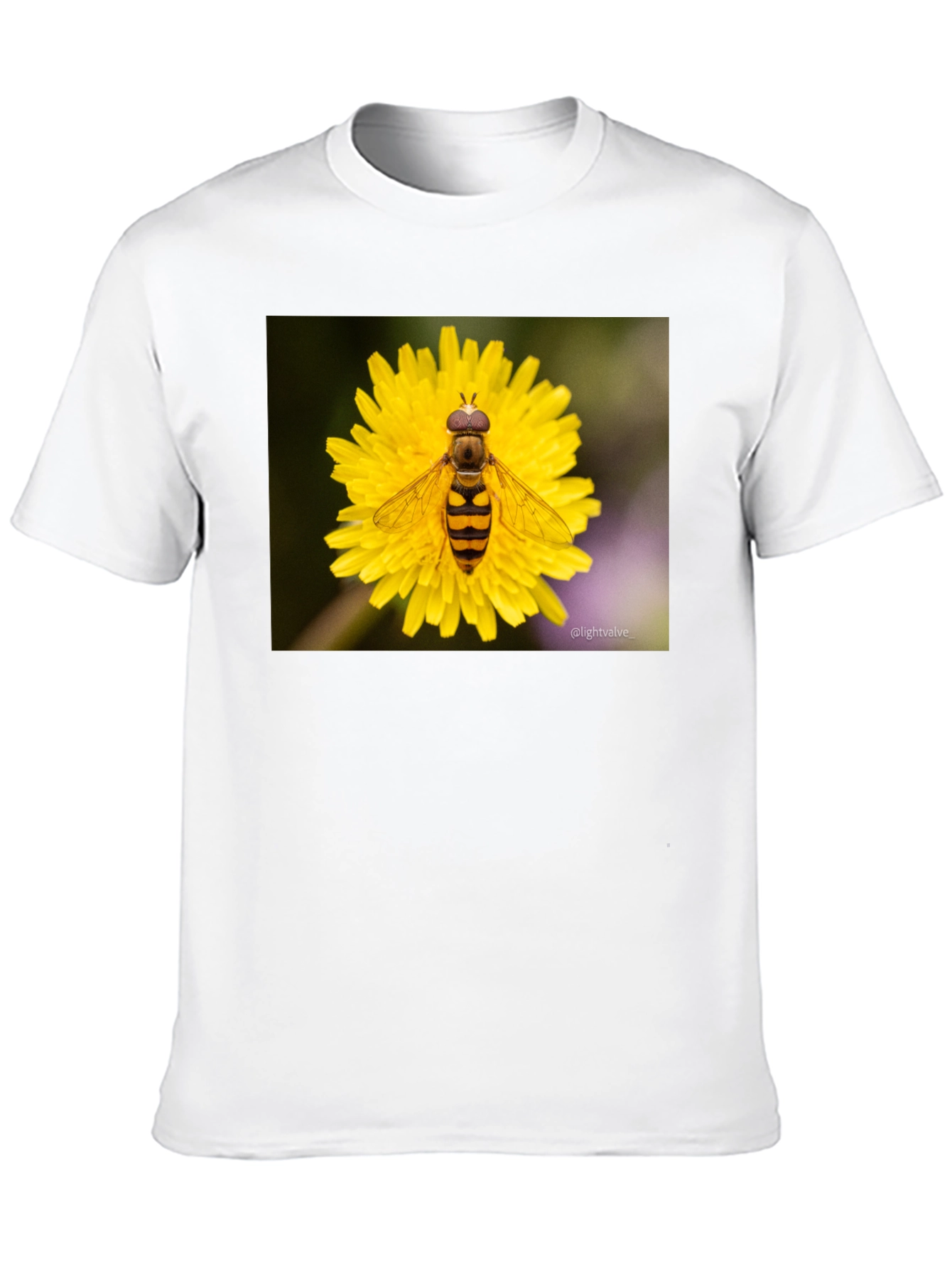 Black Bee on Flower Graphic Tee - Black Cotton T-Shirt view 10