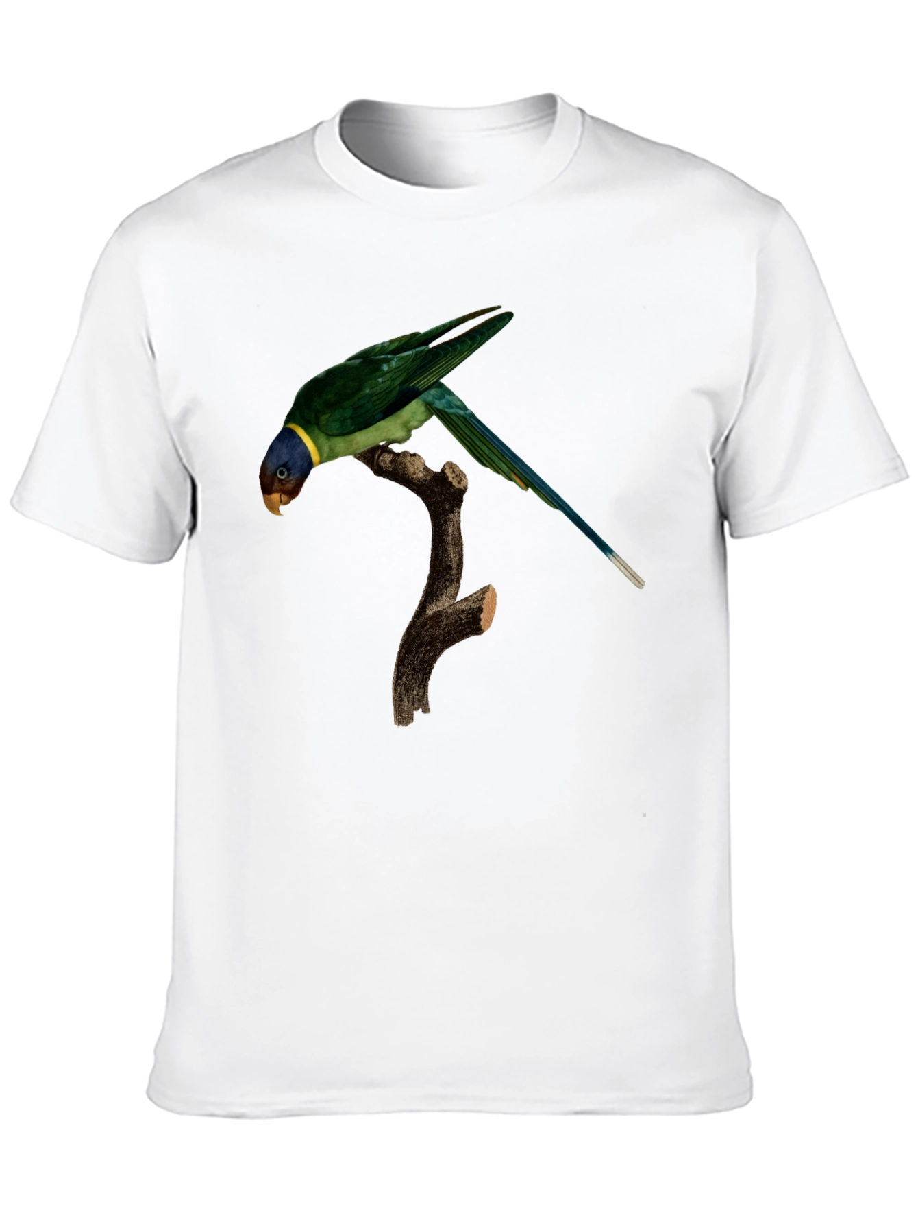 Parrot Graphic T-Shirt - Unique Bird Print - 10