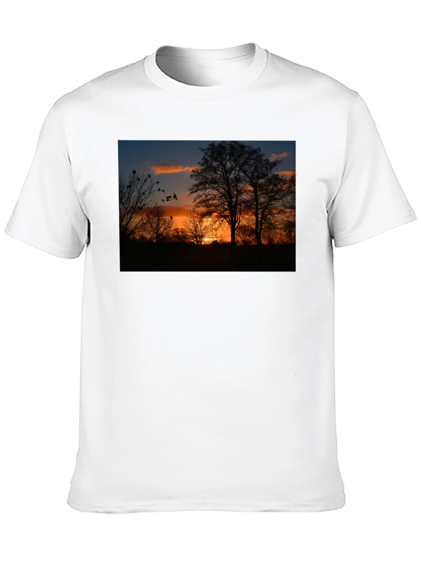 Sunset Trees Graphic Tee - Nature Inspired Black T-Shirt - 10