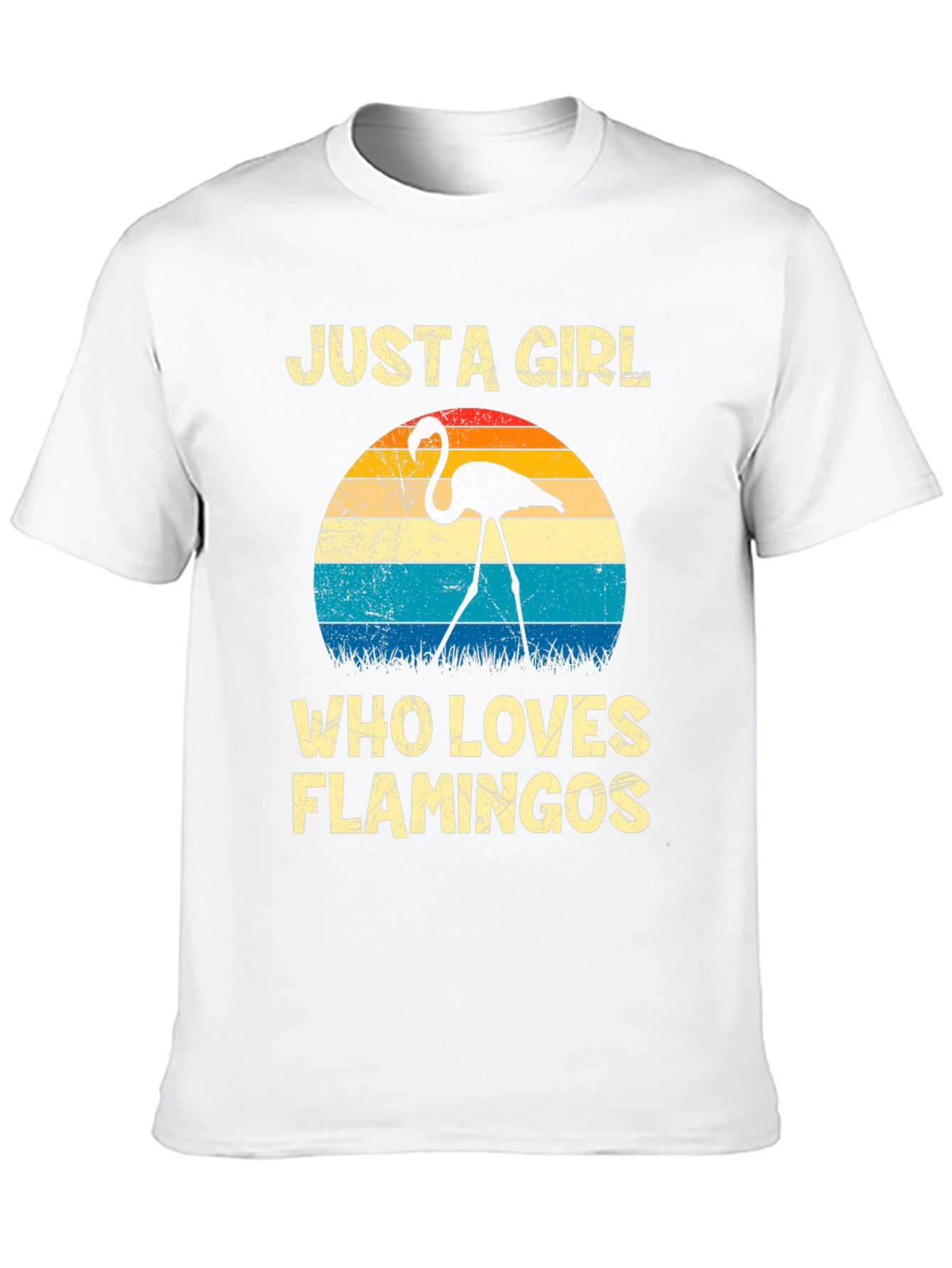 Black Just A Girl Who Loves Flamingos Graphic Tee view 10