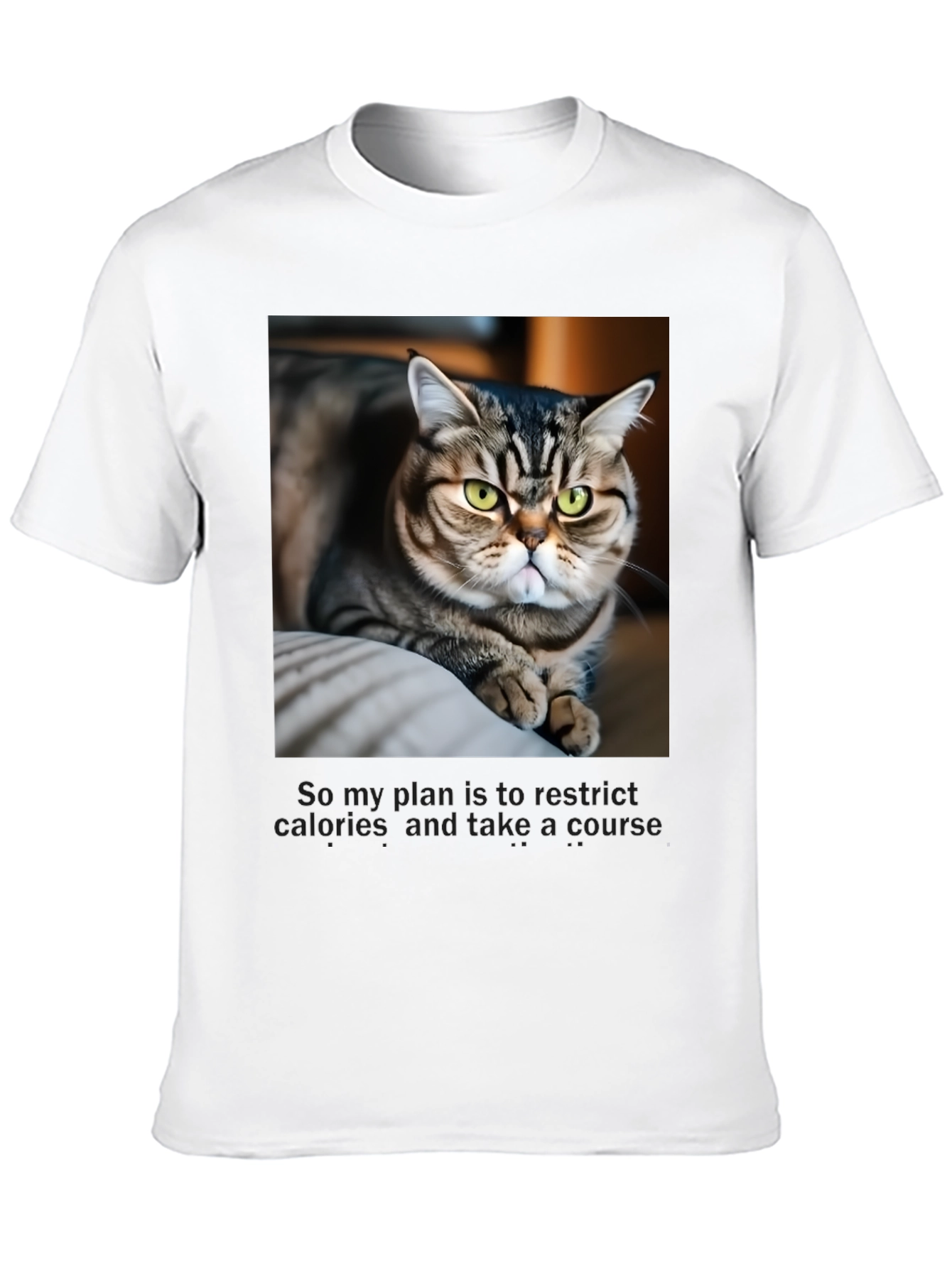 Black Funny Cat Graphic T-Shirt - Unisex Black Tee view 10