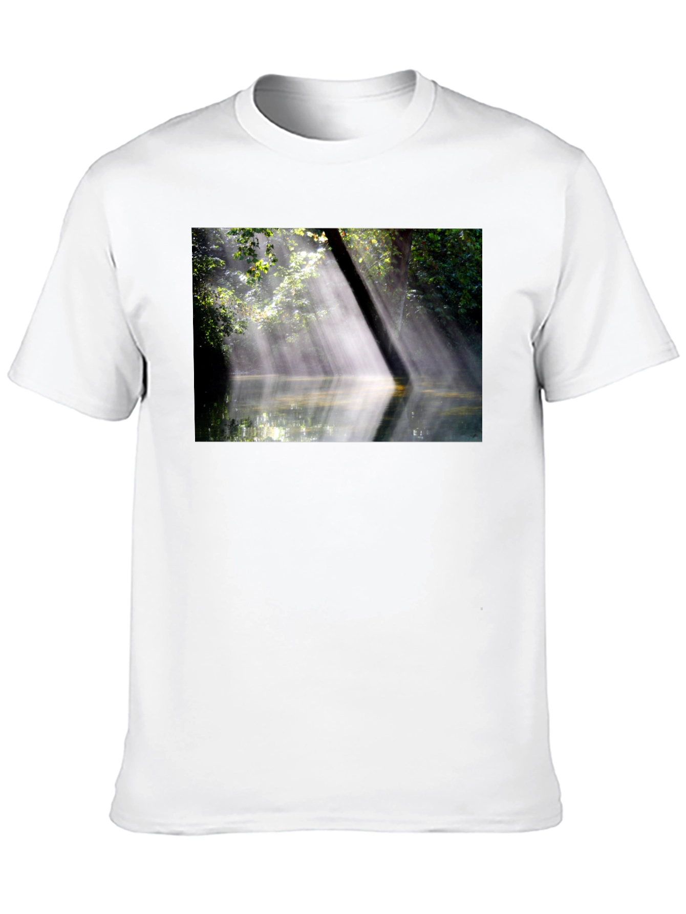 Black Nature's Embrace Tee - Sunlit Forest Design view 10