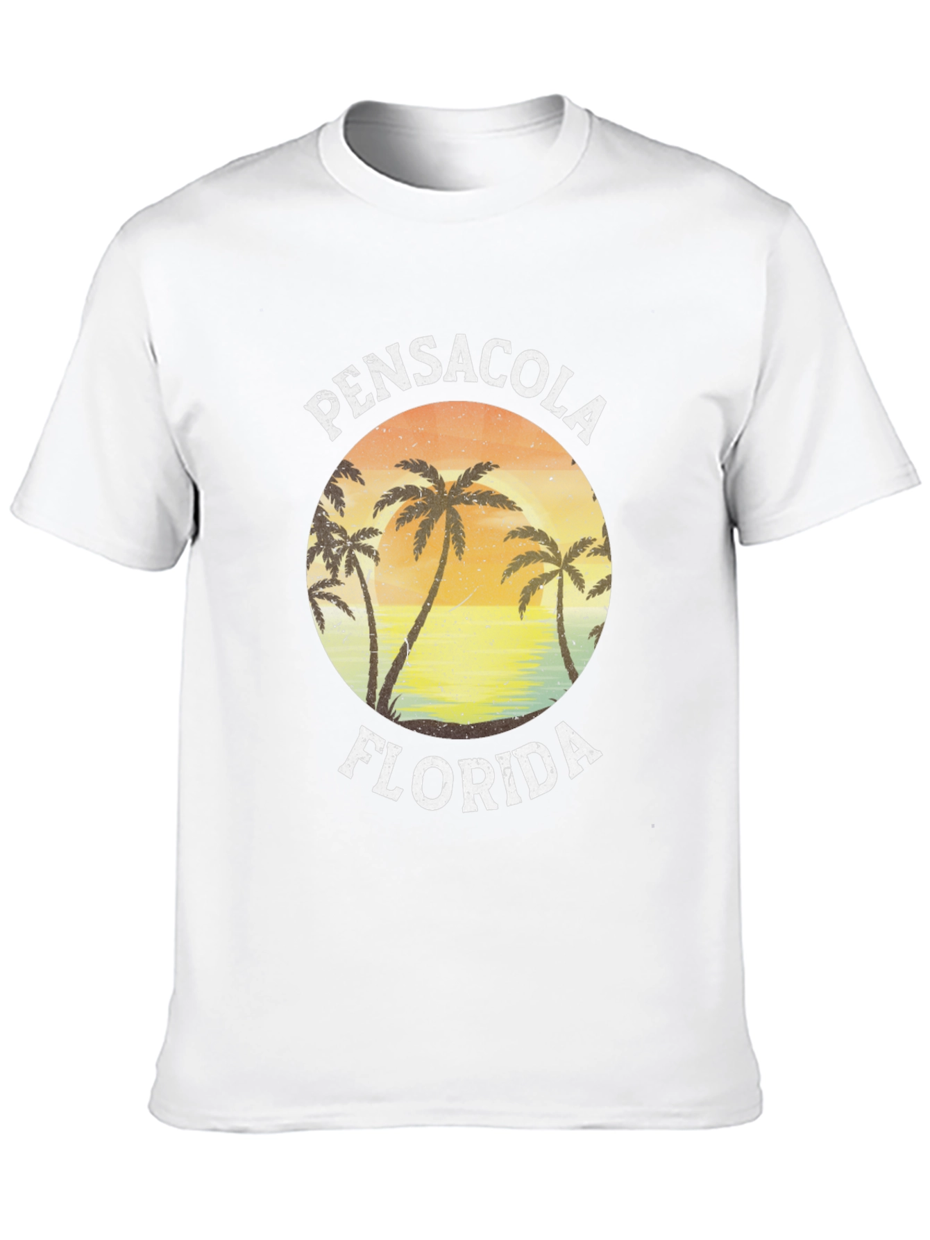 Black Pensacola Florida Graphic T-Shirt view 10