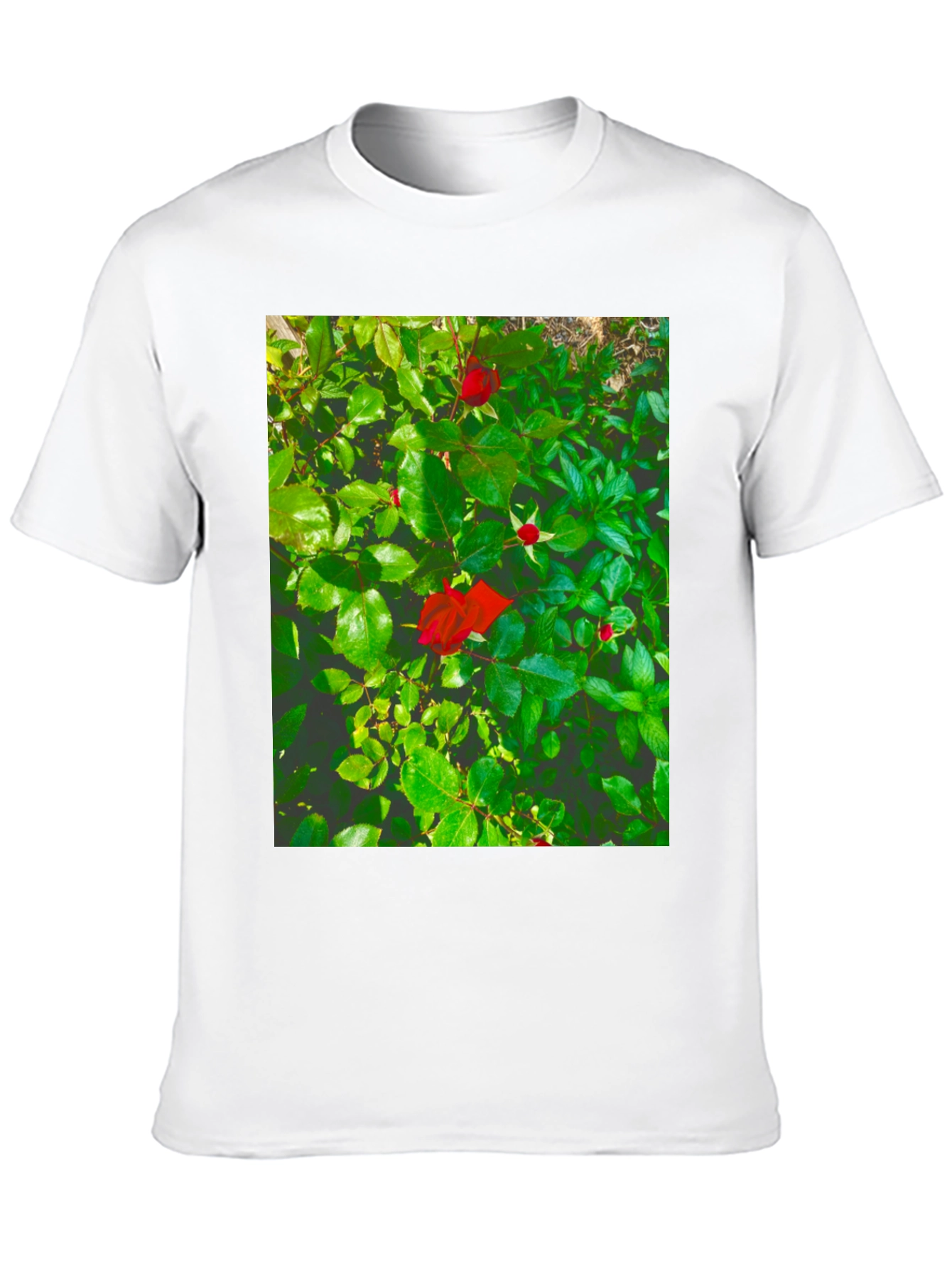 Black Rose Bush Graphic Tee - Nature Inspired Black T-Shirt view 10