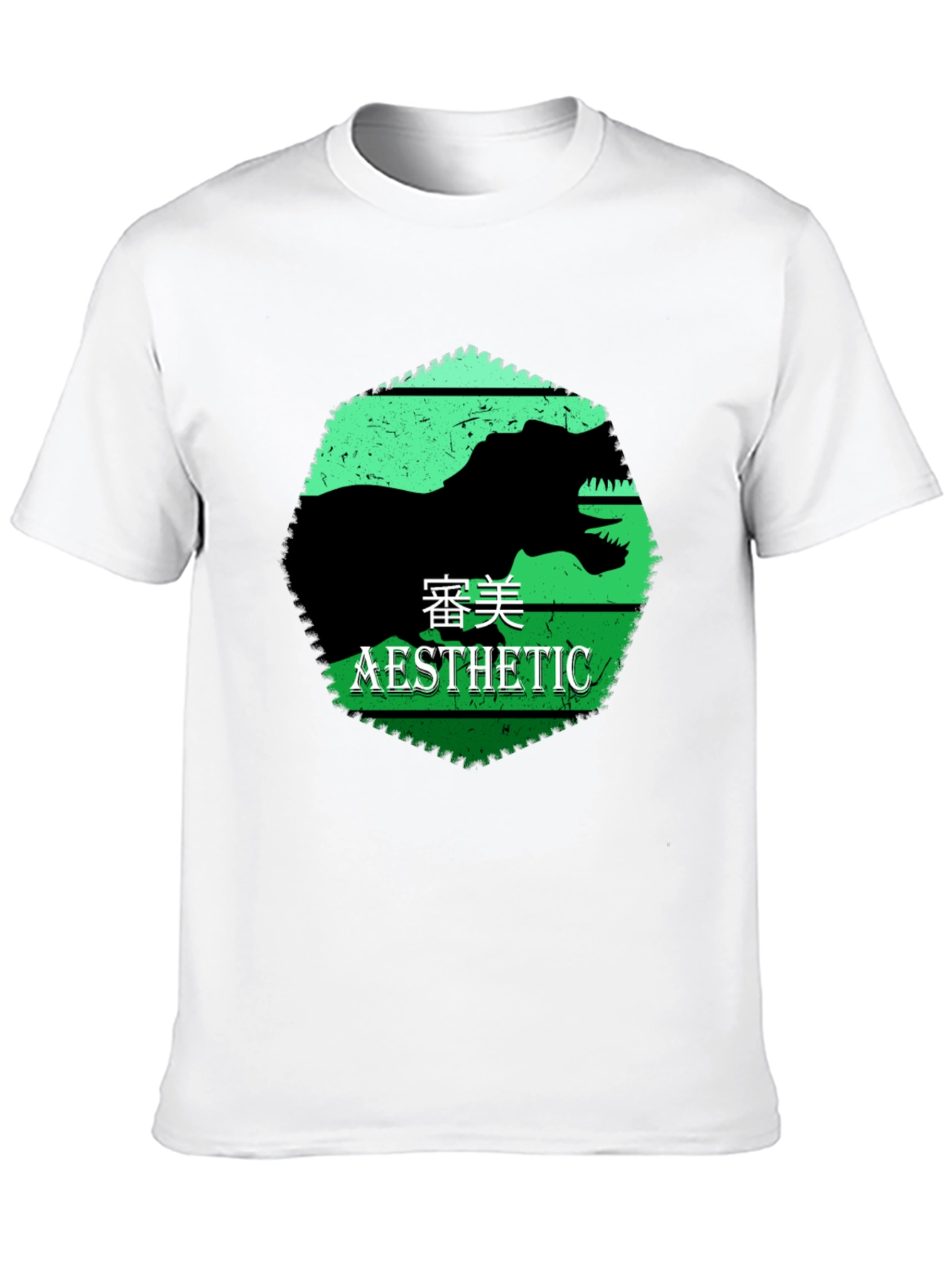 Black Aesthetic Dinosaur Graphic Tee view 10