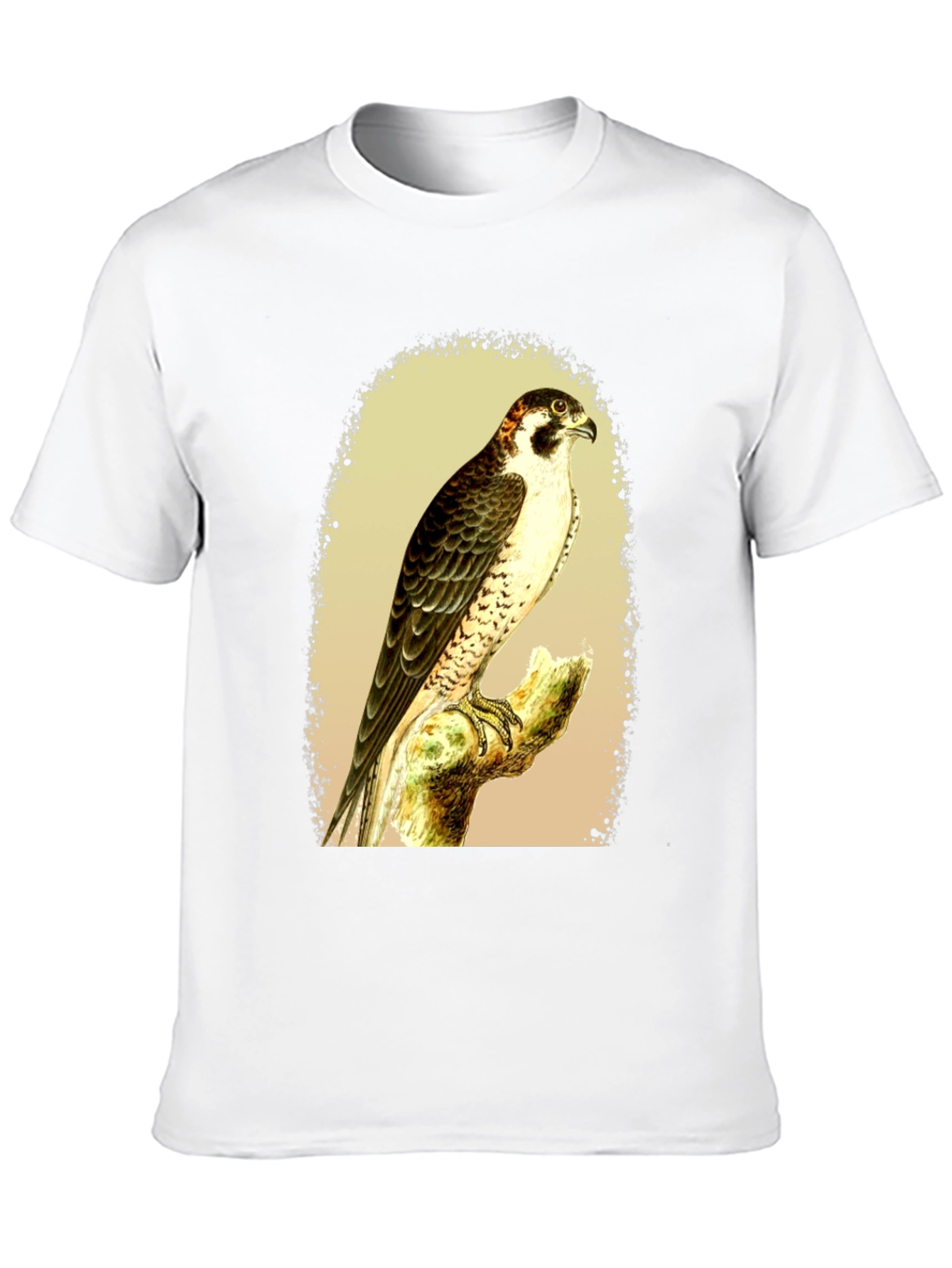 Black Falcon Graphic Tee - Vintage Bird Illustration T-Shirt view 10