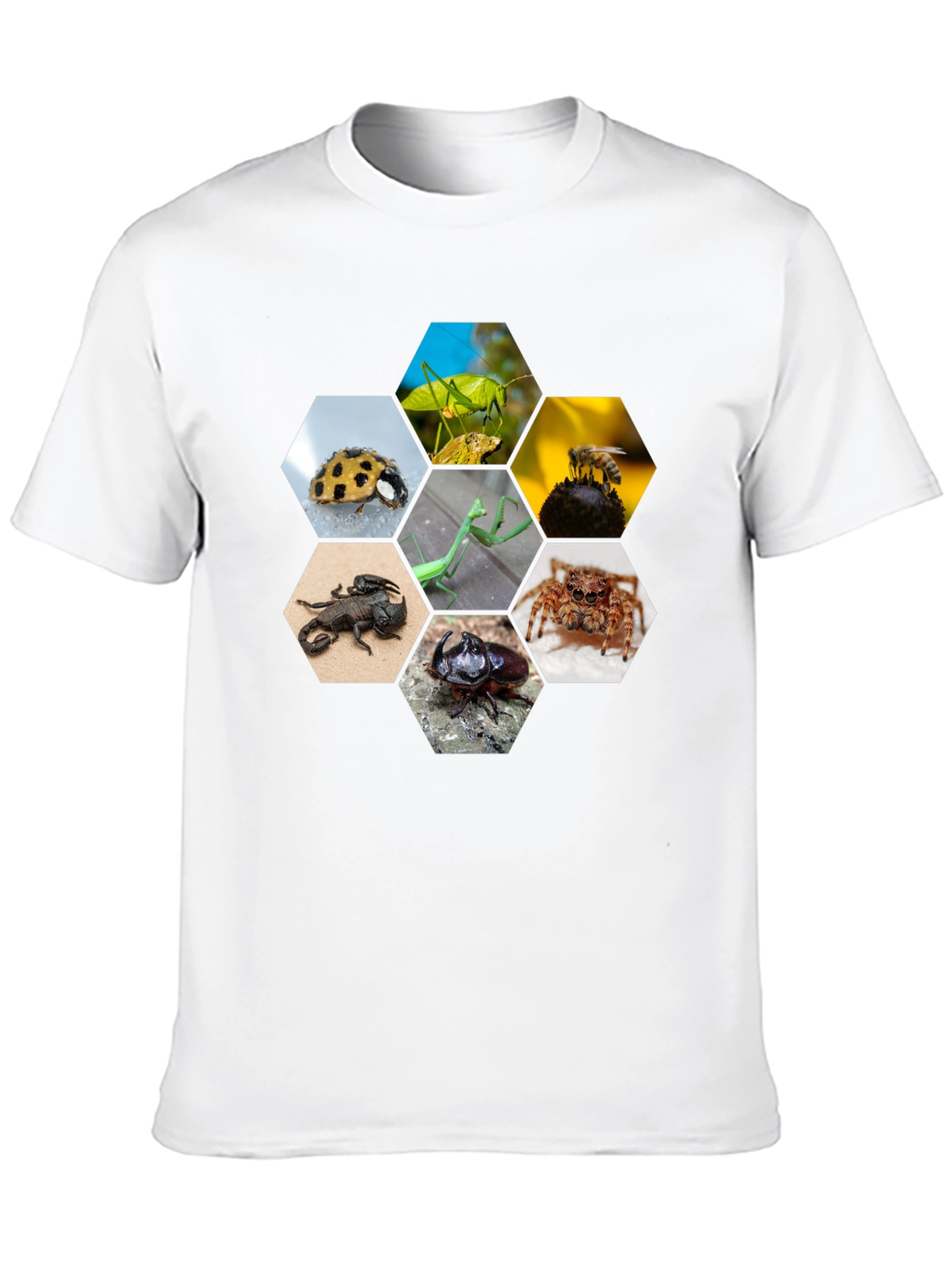 Black Insect Hexagon T-Shirt - Unique Nature Design view 10