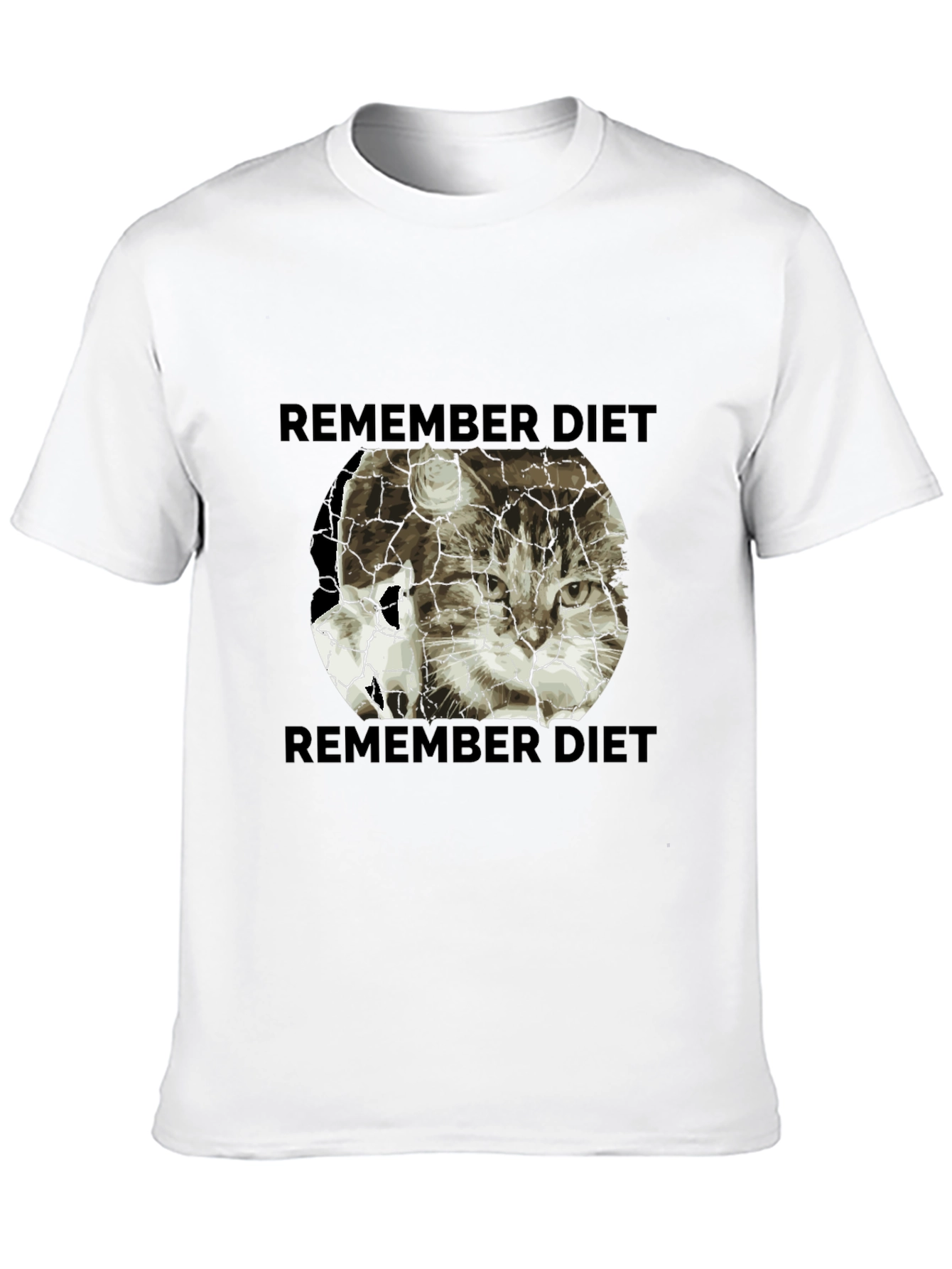 Black Remember Diet Cat Graphic T-Shirt view 10