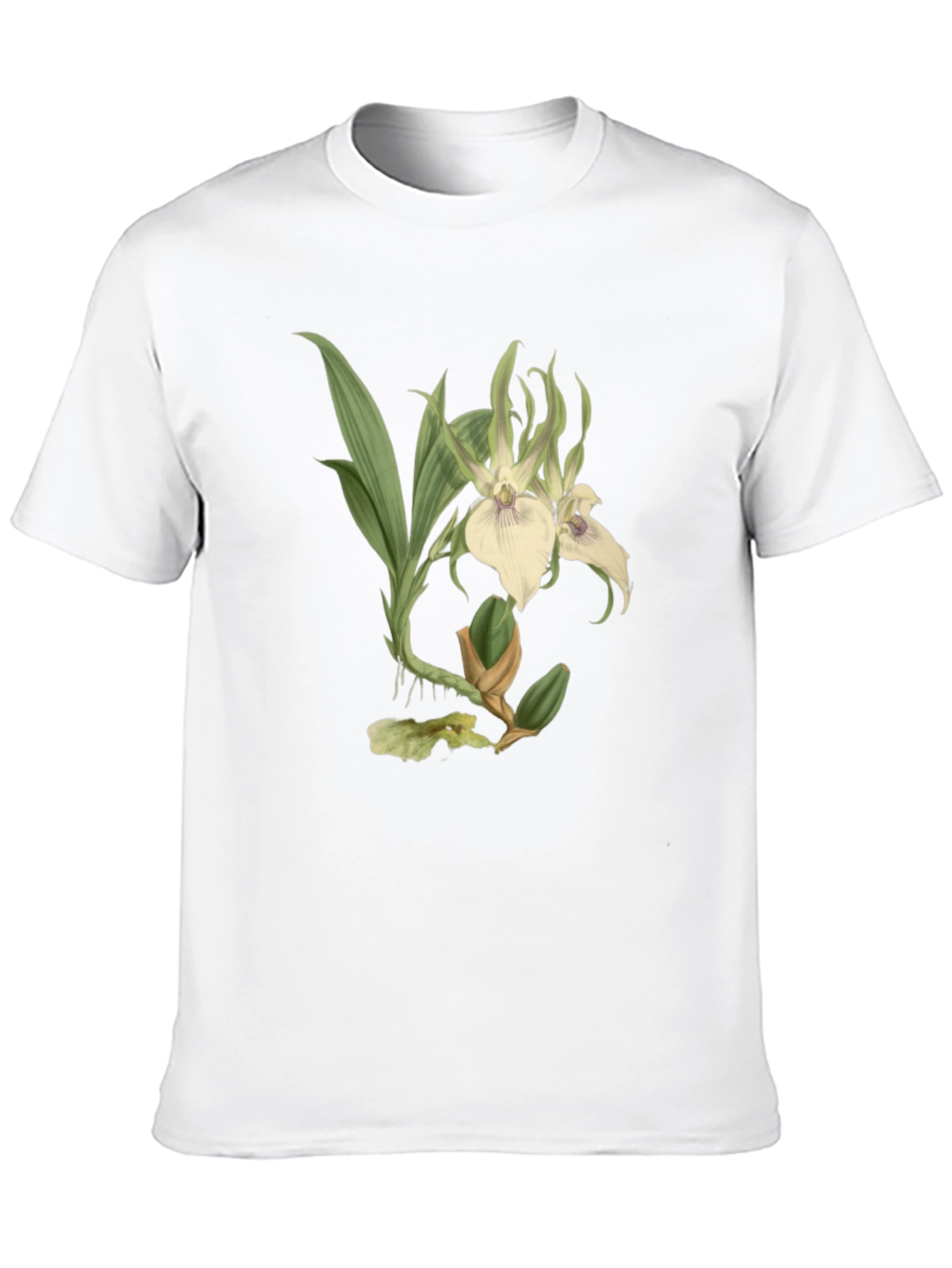 Black Botanical Orchid Graphic Tee - Black Cotton Blend view 10