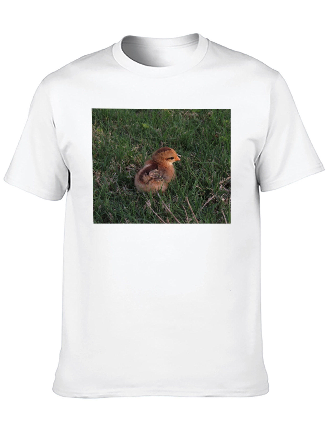 Black Cute Chick in Grass Graphic T-Shirt view 10