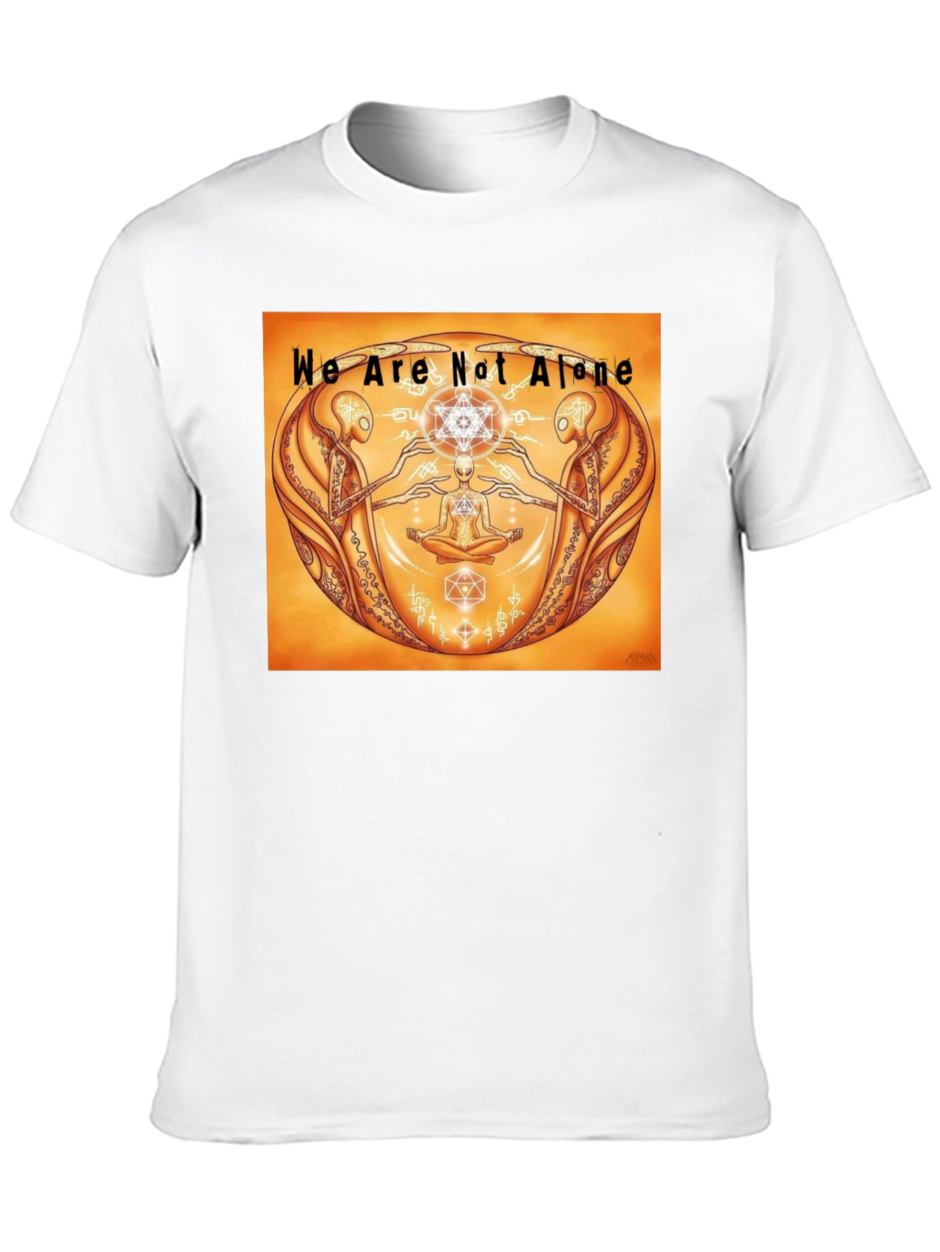 Black We Are Not Alone Graphic Tee - Black view 10