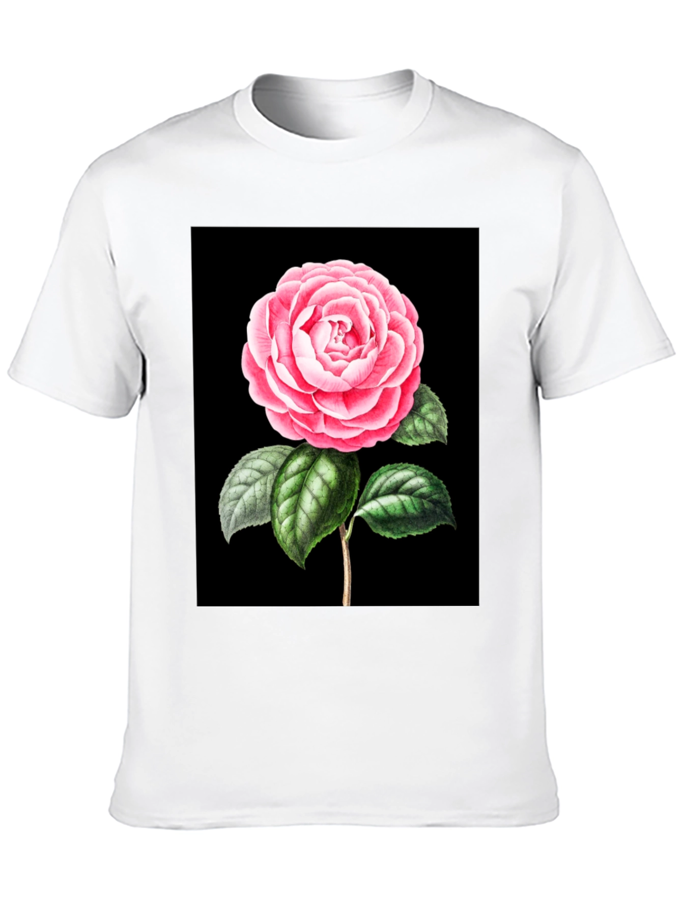 Black Elegant Rose Graphic Tee - Black Cotton Blend view 10