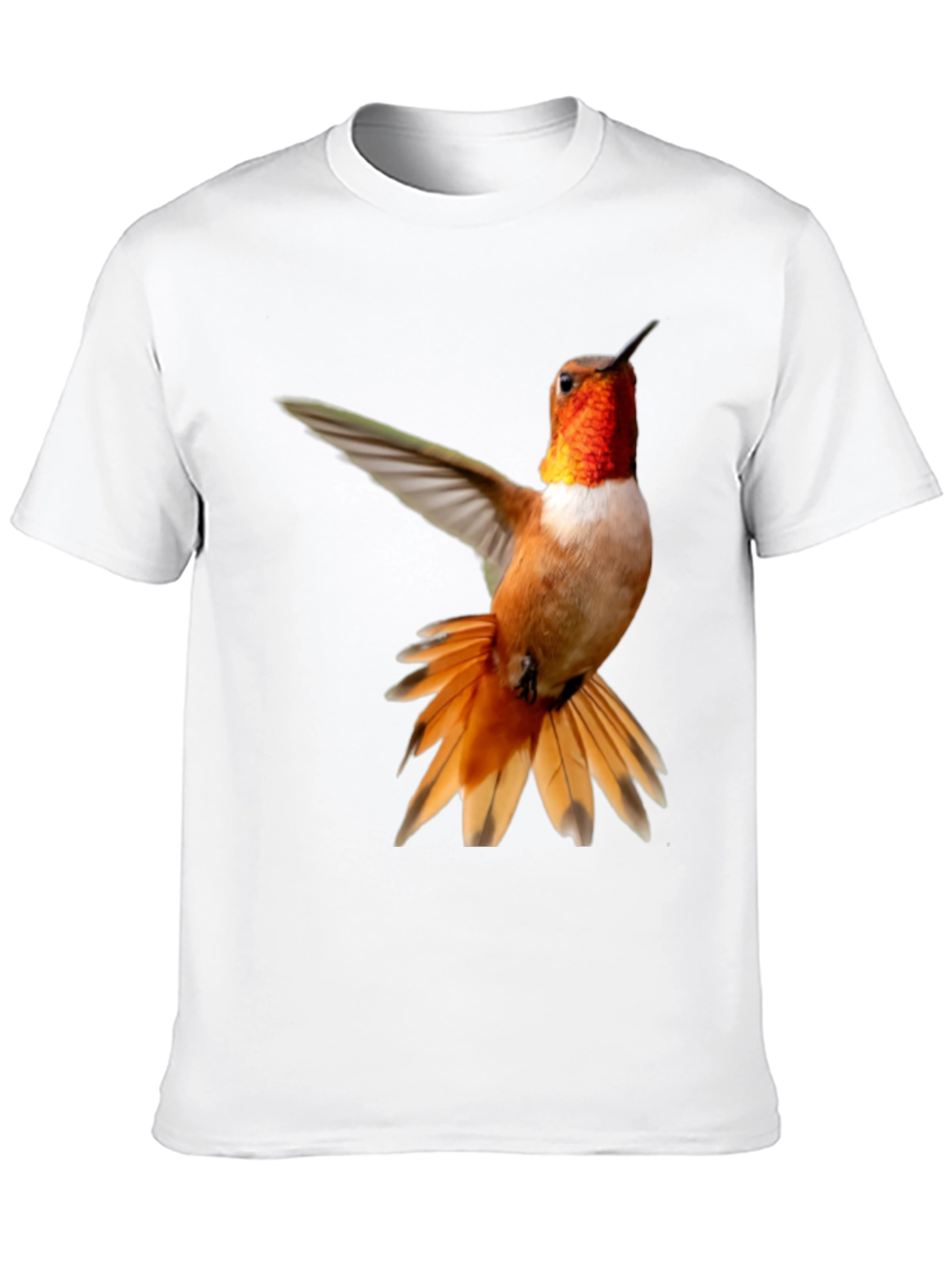 Black Hummingbird Graphic Tee - Black Cotton Blend view 10