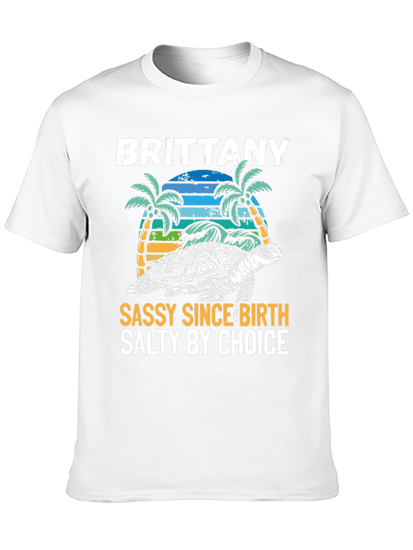 Brittany Turtle Sassy & Salty Graphic Tee - 10