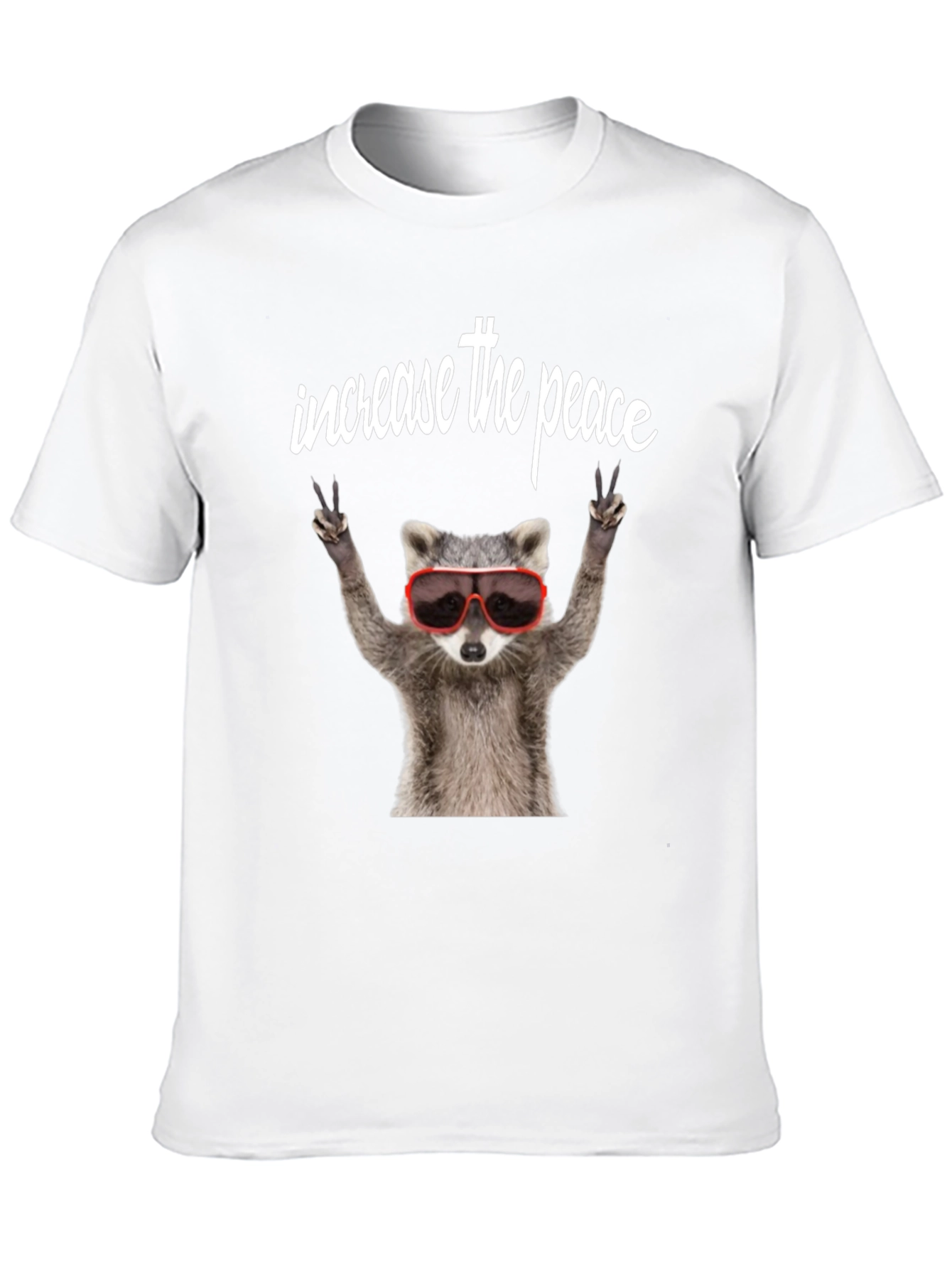 Black Peaceful Raccoon Graphic Tee view 10