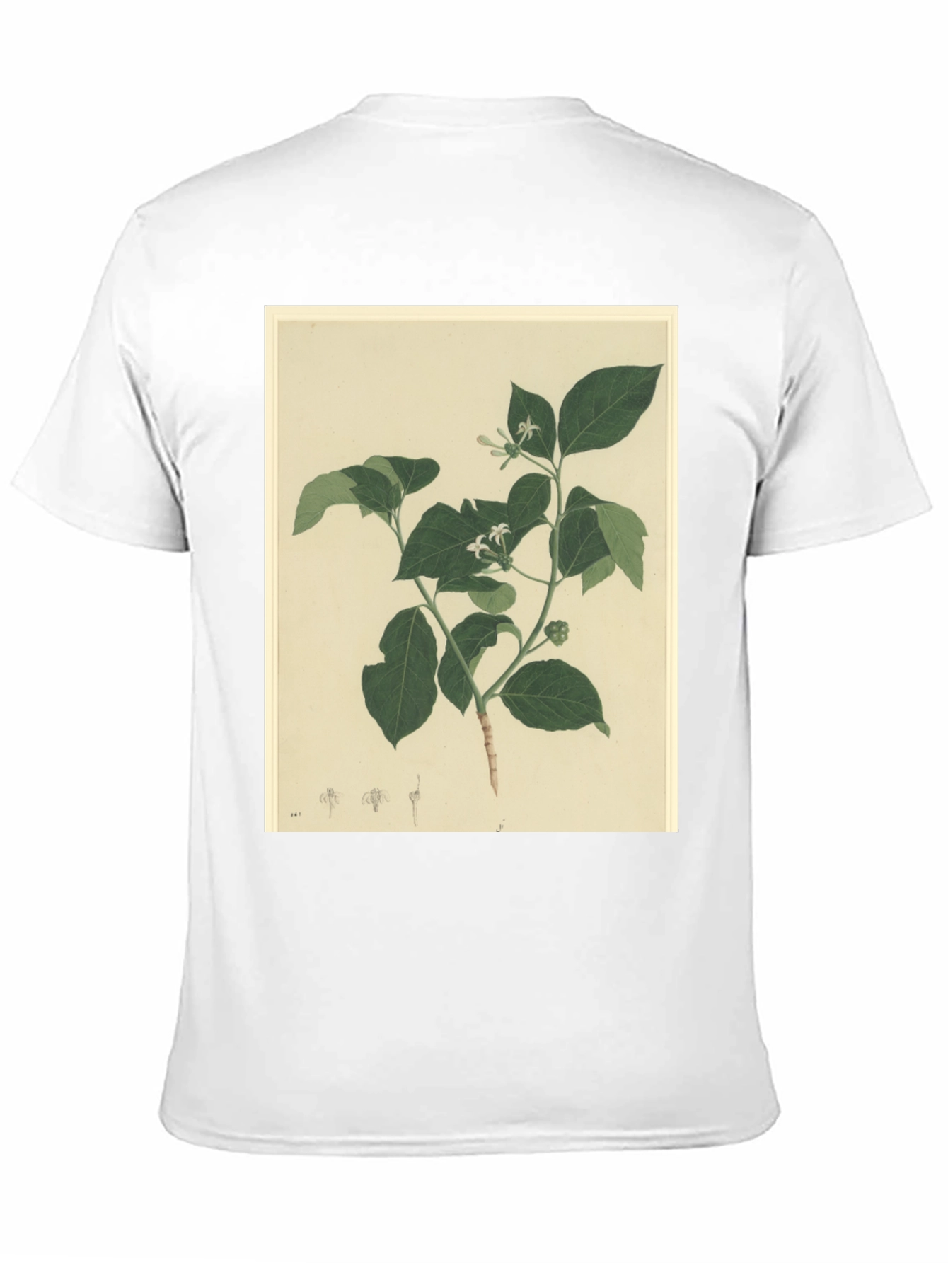 Black Botanical Print Black T-Shirt view 11