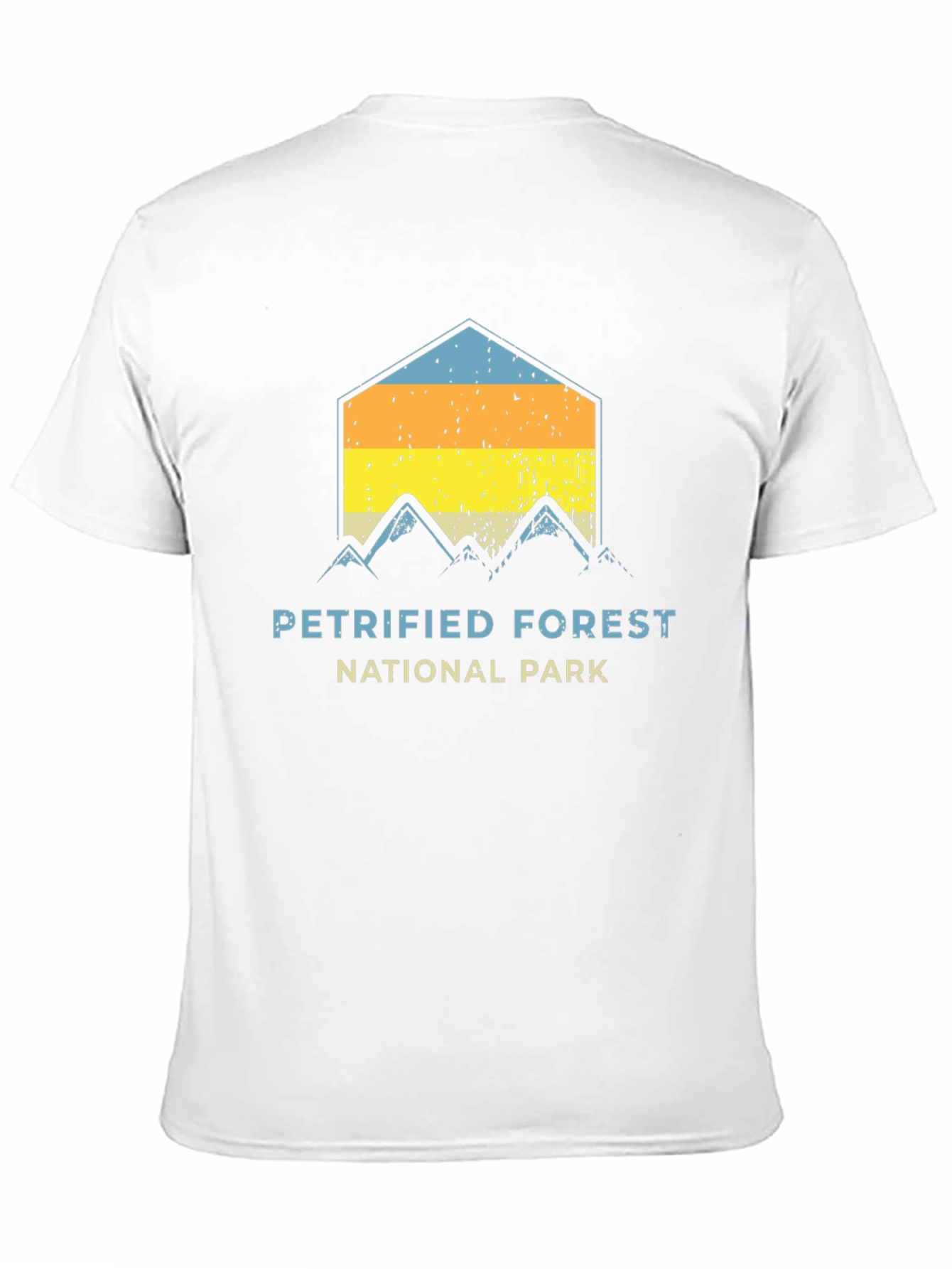 Black Petrified Forest National Park Graphic Tee view 11