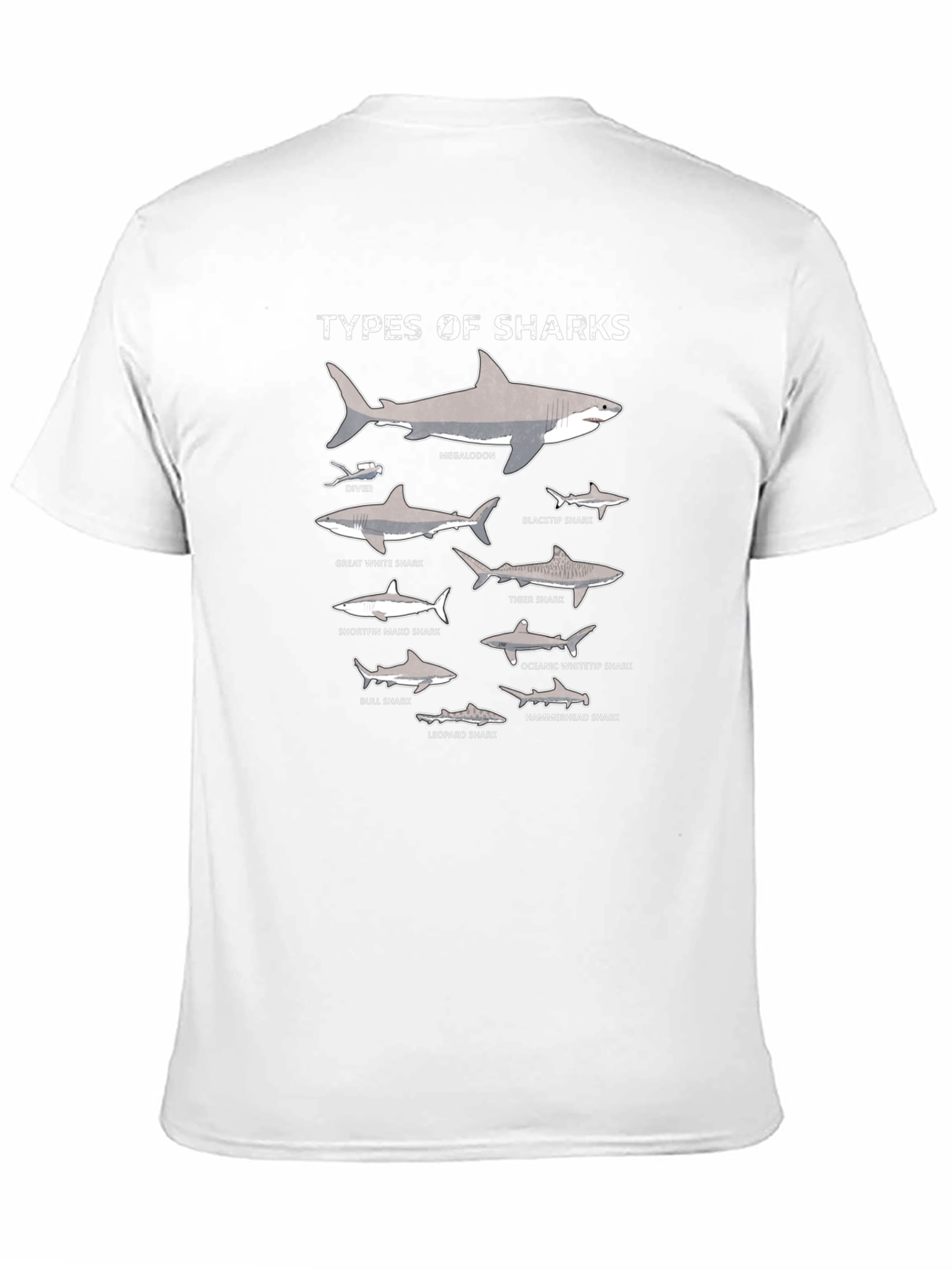 Black Types of Sharks Graphic T-Shirt view 11