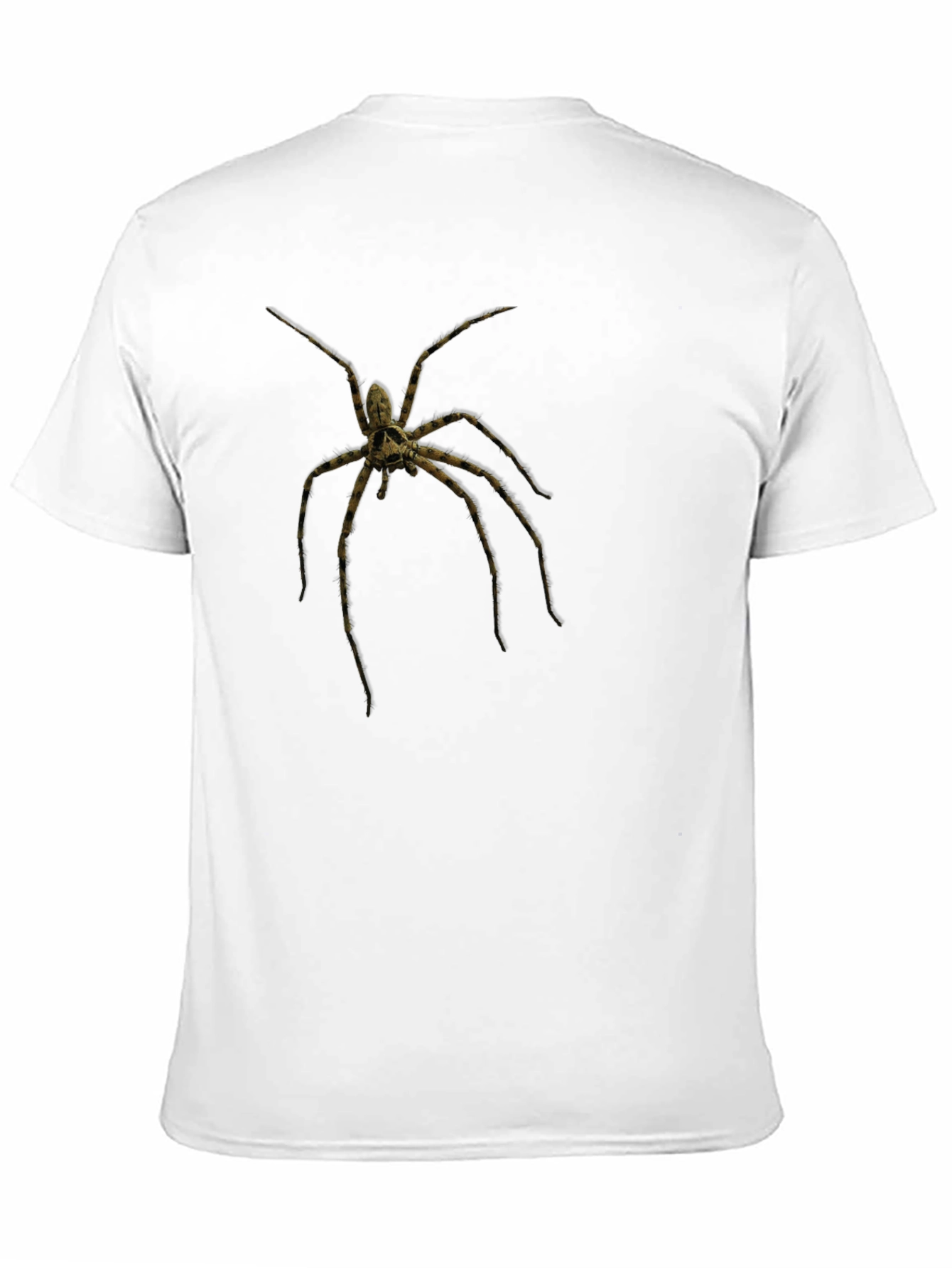 Black Creepy Spider Graphic Tee - Black Cotton view 11