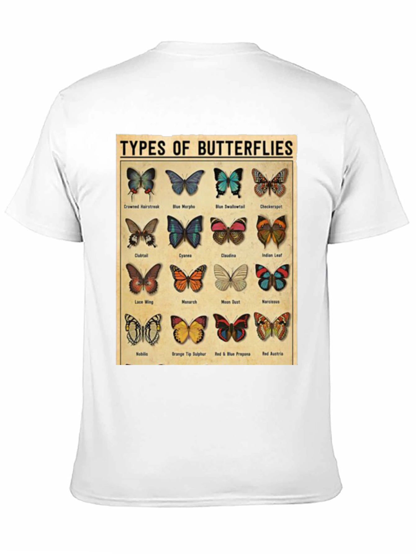 Black Butterfly Types Graphic T-Shirt view 11
