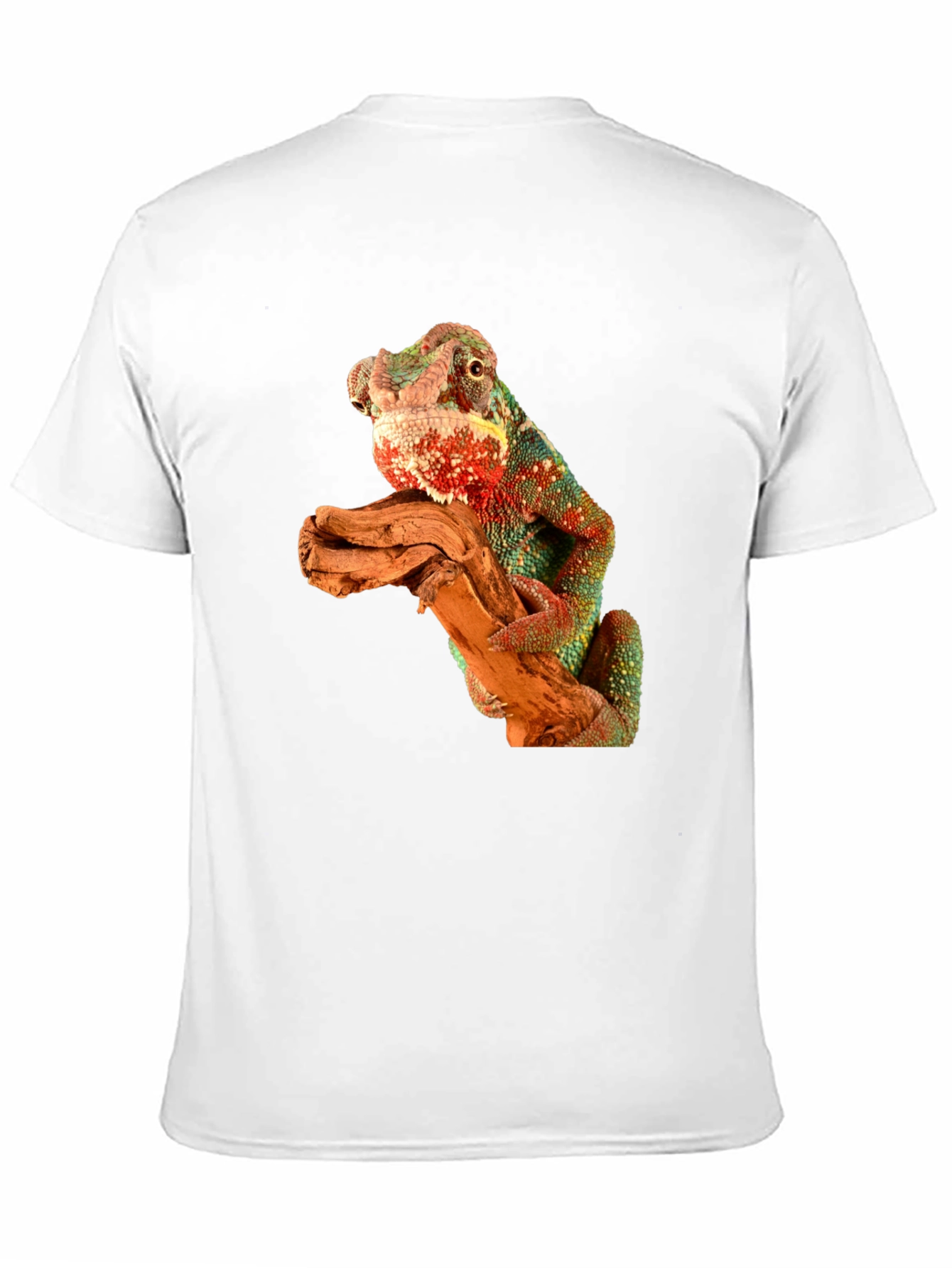 Black Chameleon Graphic Tee view 11