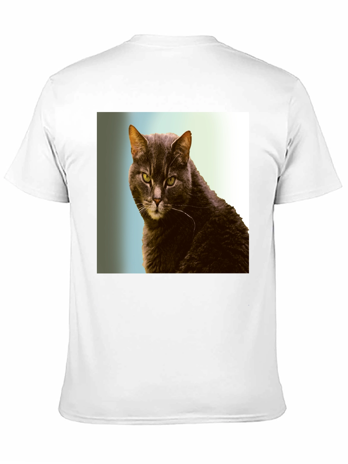 Black Cool Cat Graphic Tee - Black Cotton Shirt view 11