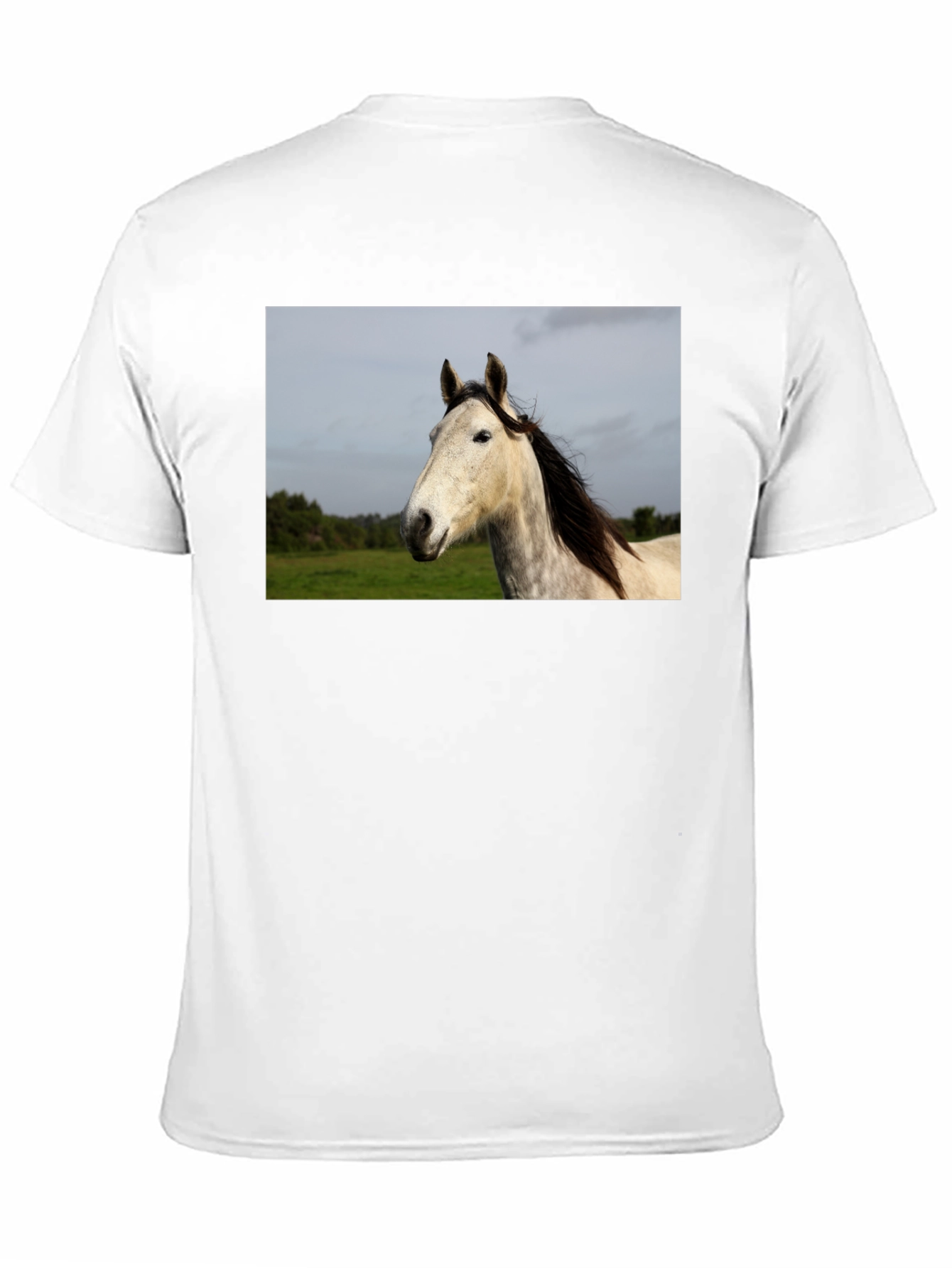 Black Horse Graphic Print Black T-Shirt view 11