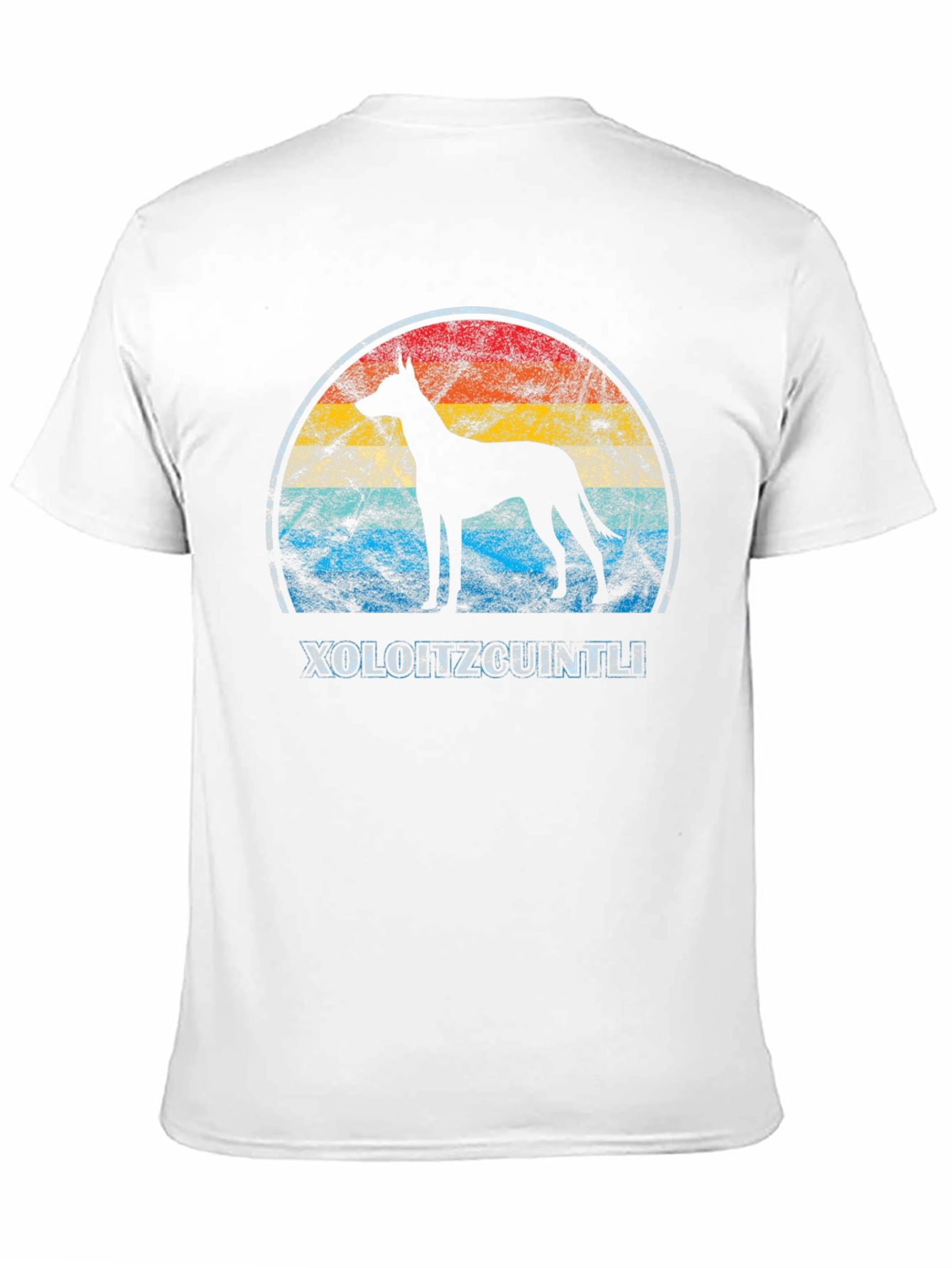 Black Xoloitzcuintli Dog Graphic Tee - Retro Style view 11