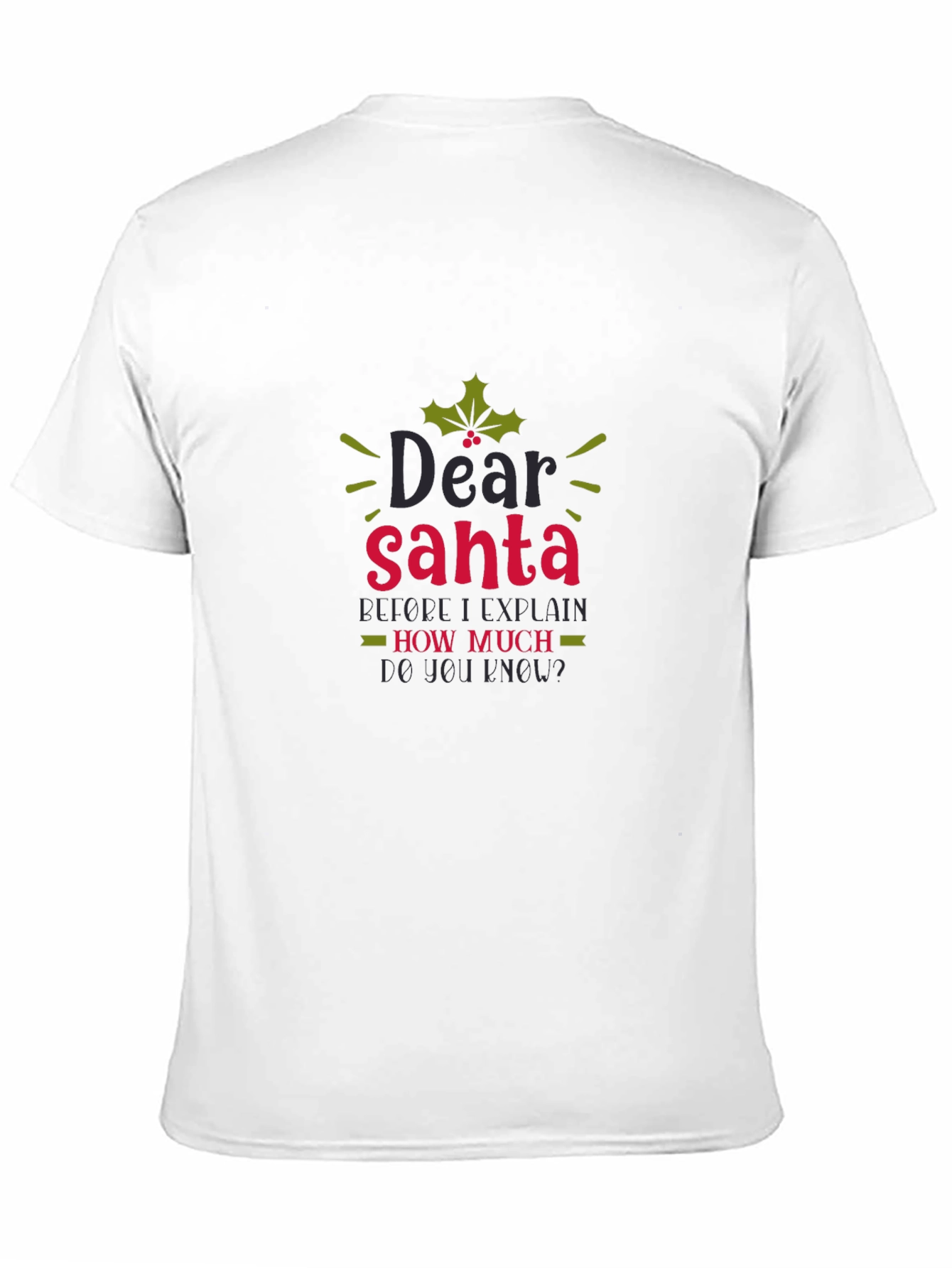Dear Santa Funny Holiday Tee - 11