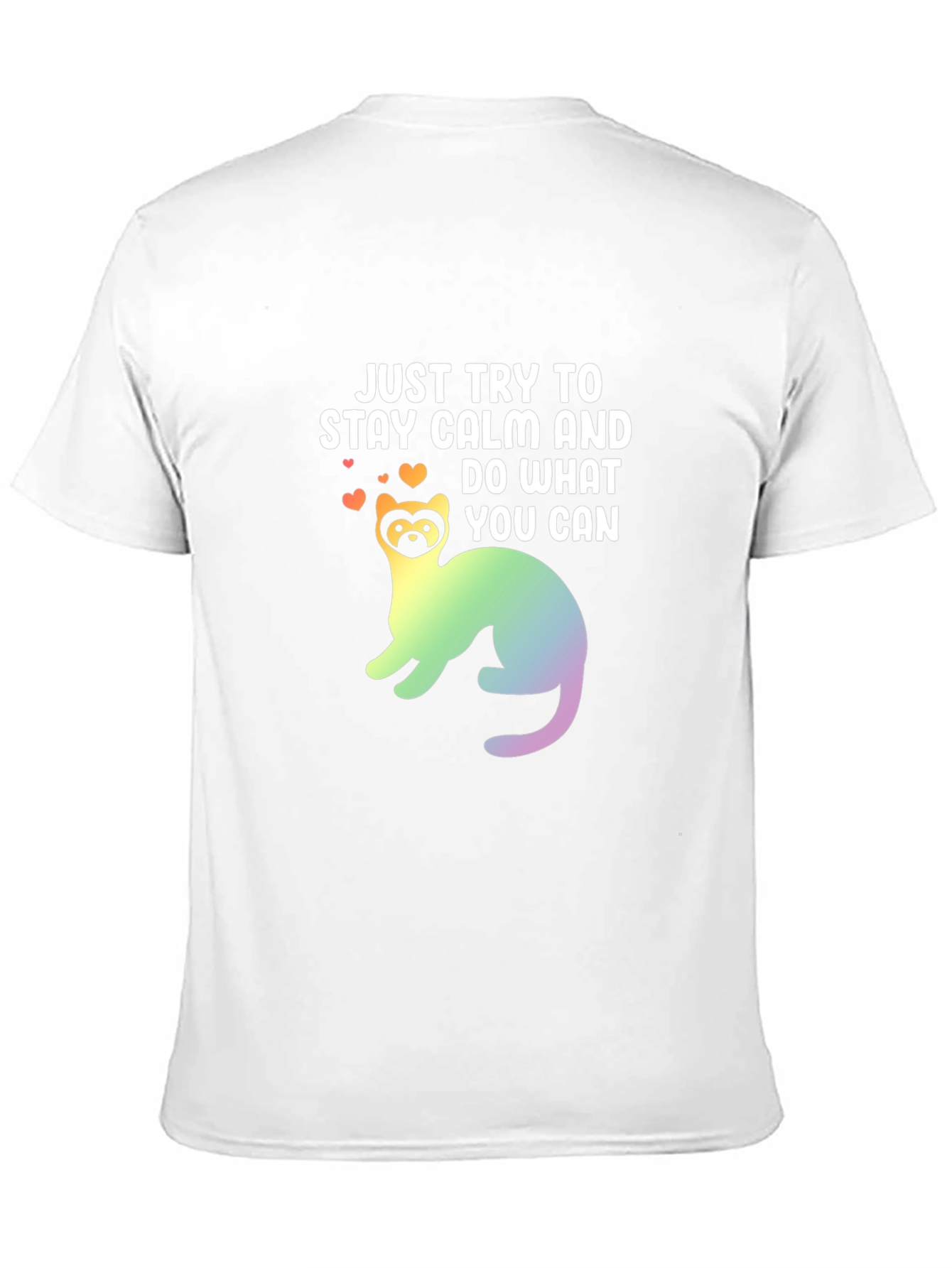 Black Stay Calm Ferret Graphic Tee view 11