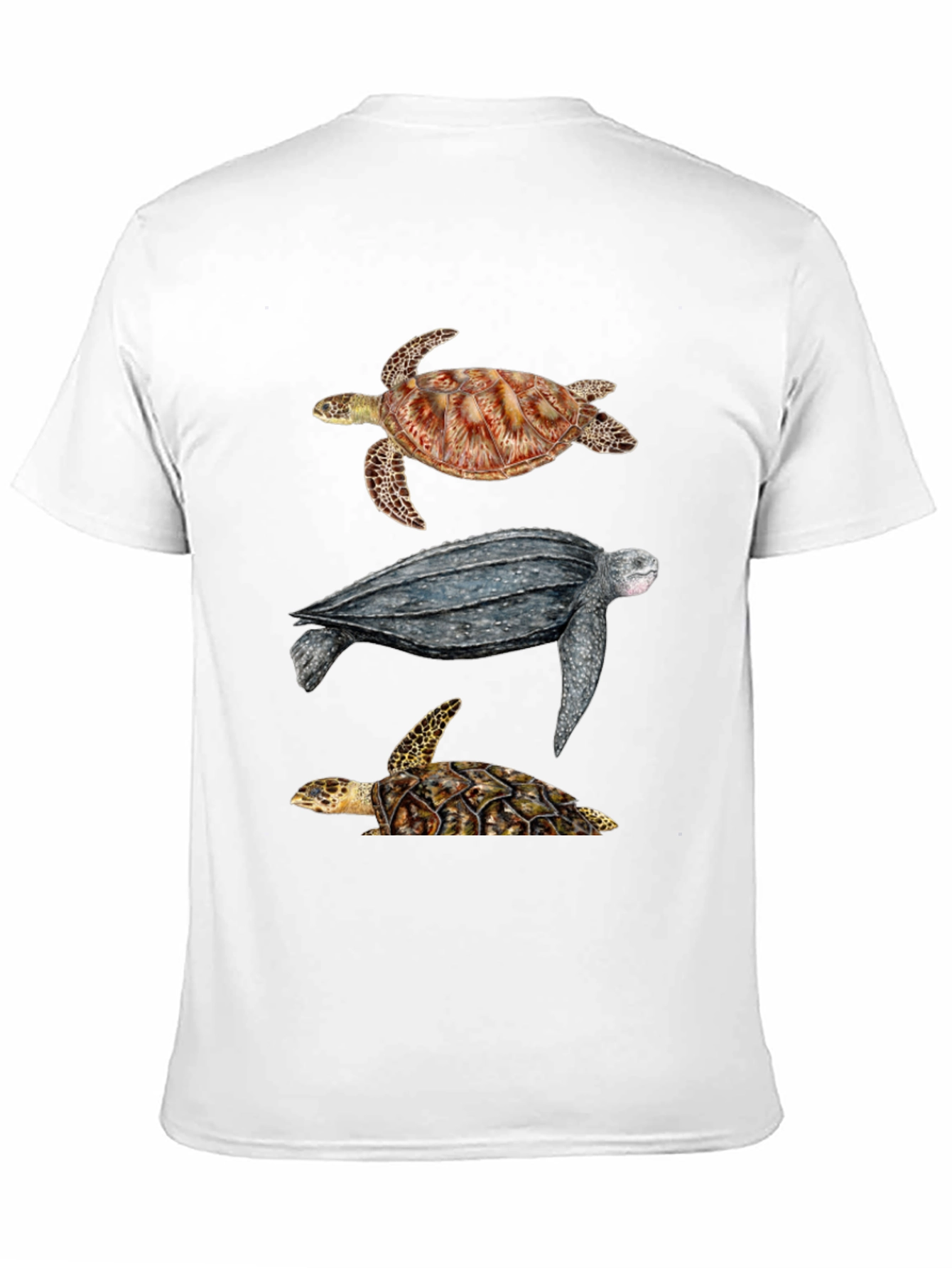 Black Turtle T-Shirt - Sea Life Graphic Tee view 11