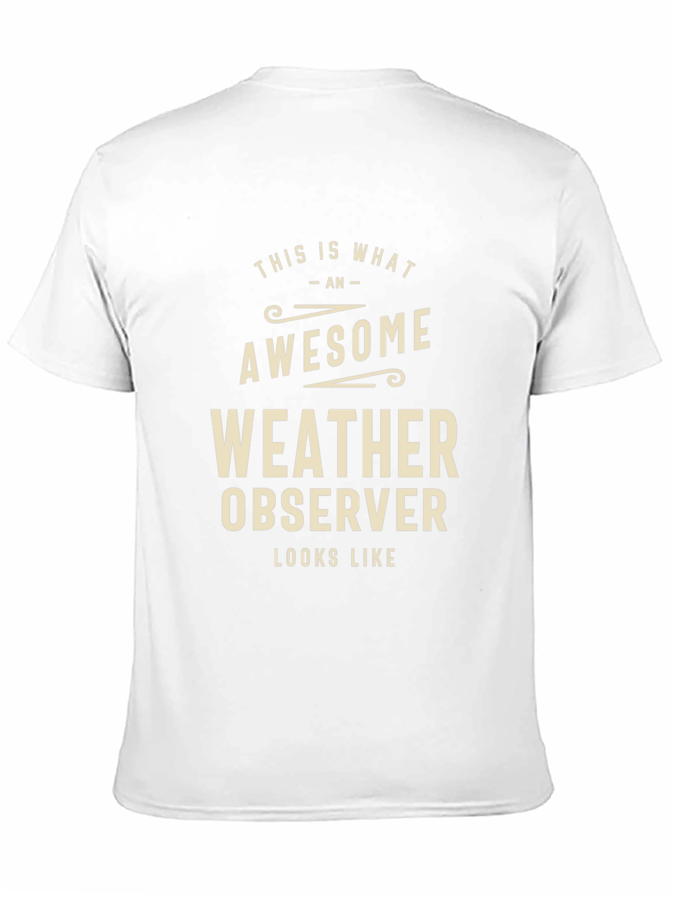 Black Awesome Weather Observer Graphic T-Shirt view 11