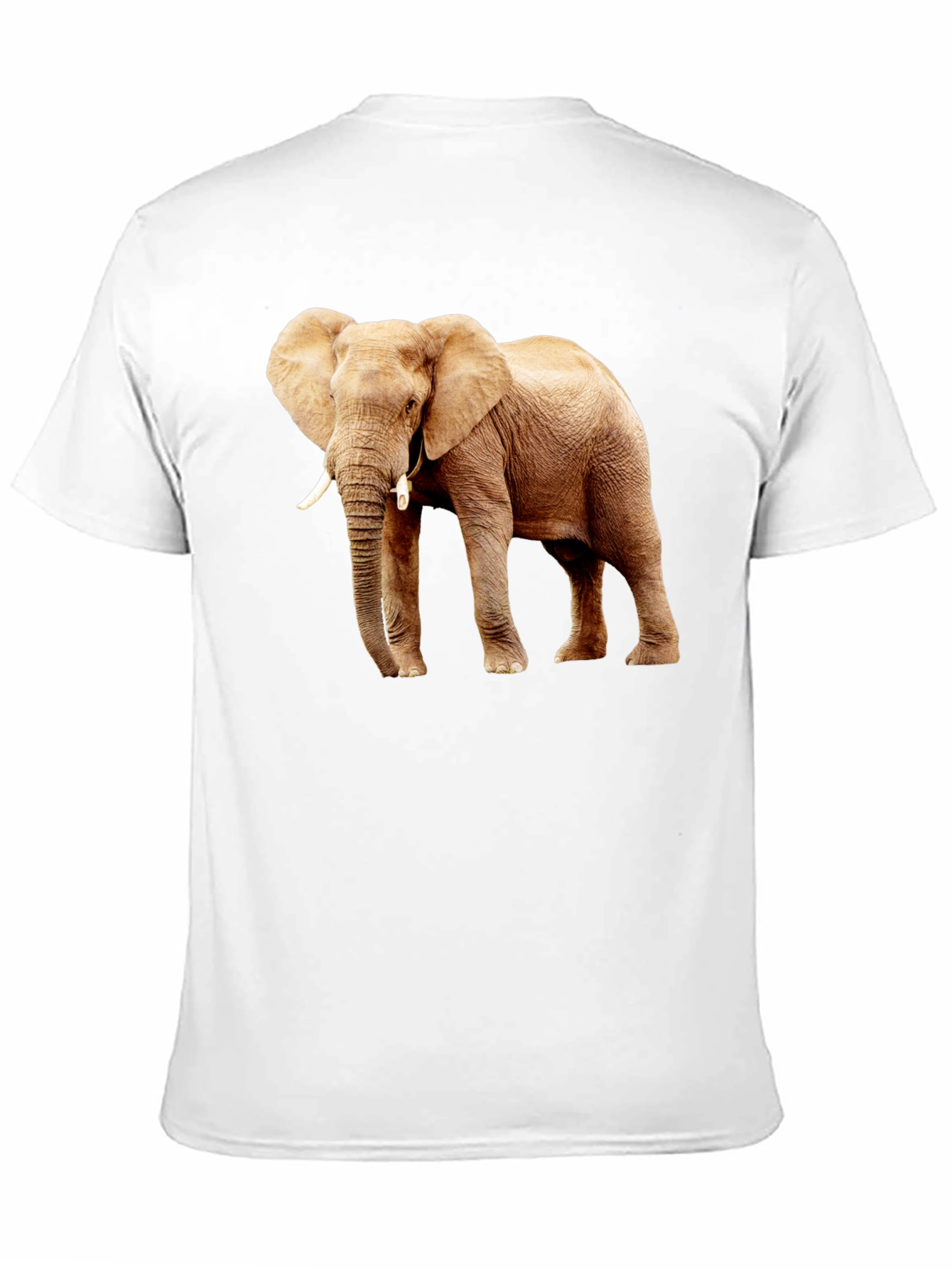 Black Elephant Graphic Print T-Shirt view 11