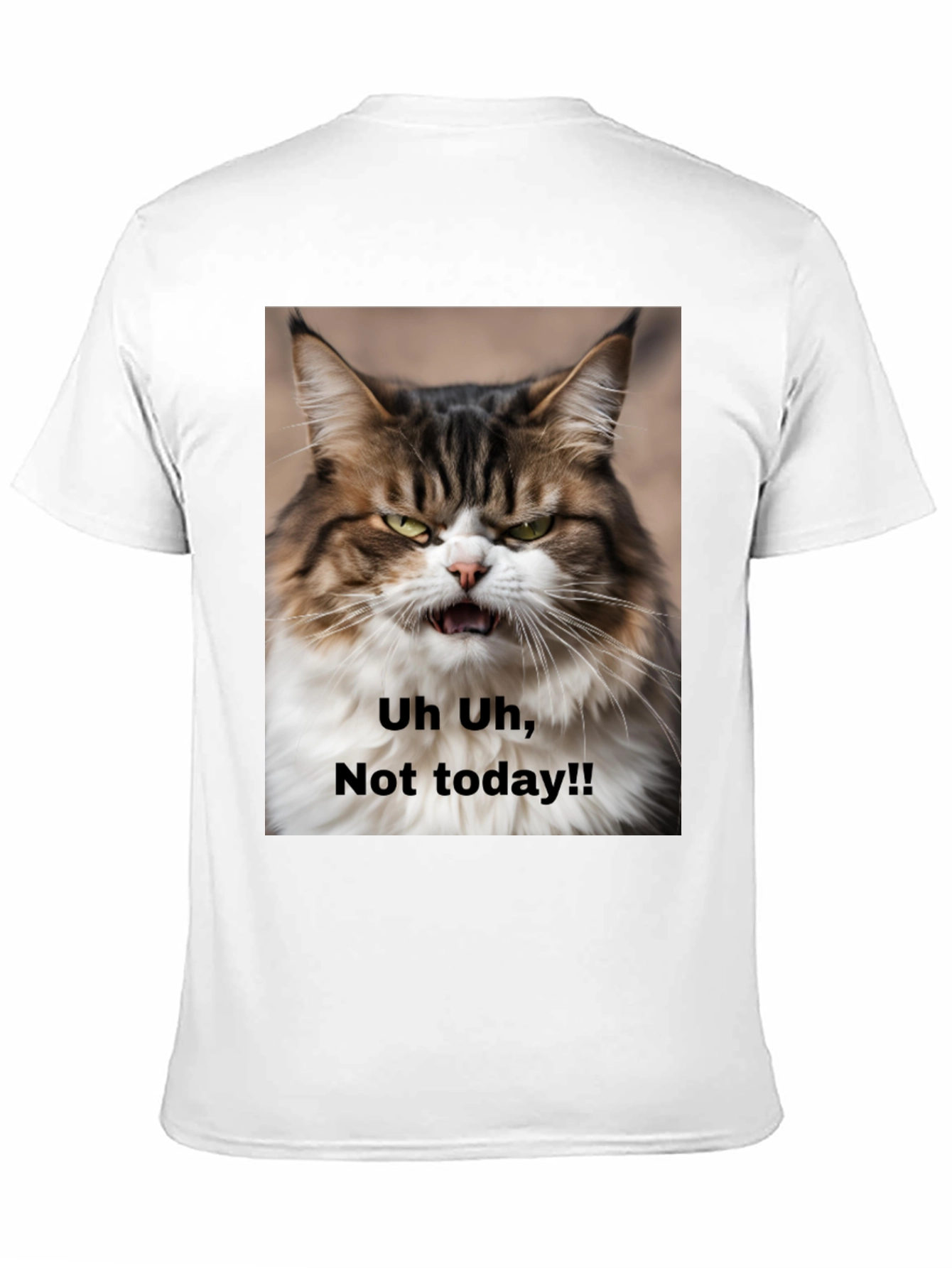 Black Grumpy Cat T-Shirt - "Not Today!" Unisex Black Tee view 11