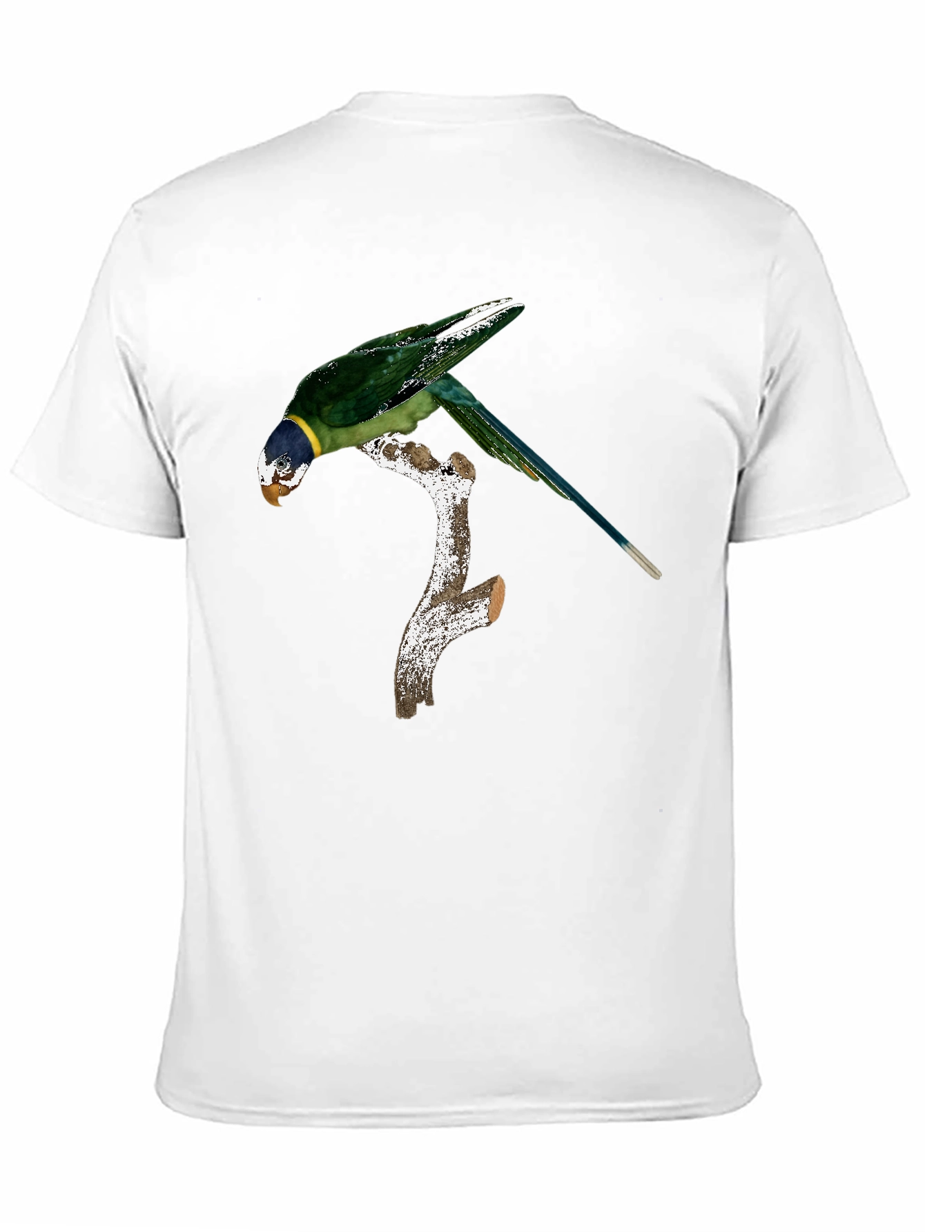 Black Parrot on Branch Graphic Tee - Black Cotton Blend Shirt view 11