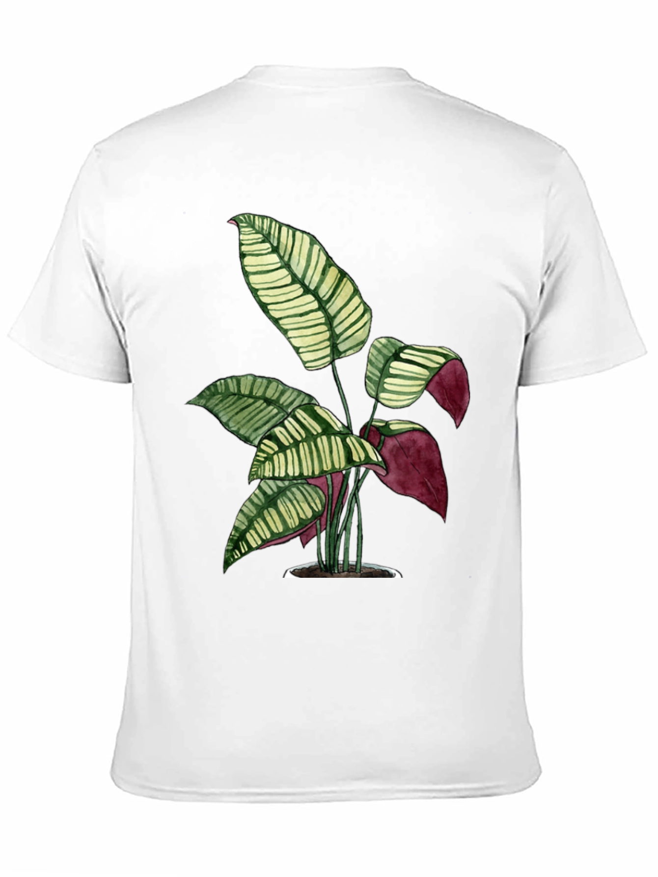 Black Botanical Print Tee - Black Cotton T-Shirt view 11