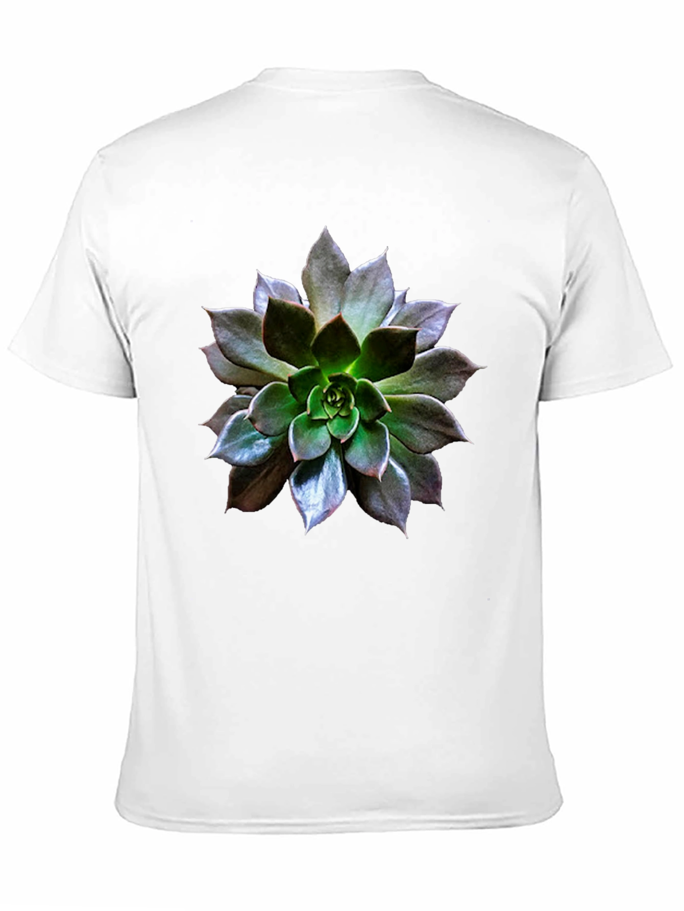 Black Succulent Graphic Tee - Nature Inspired Style view 11