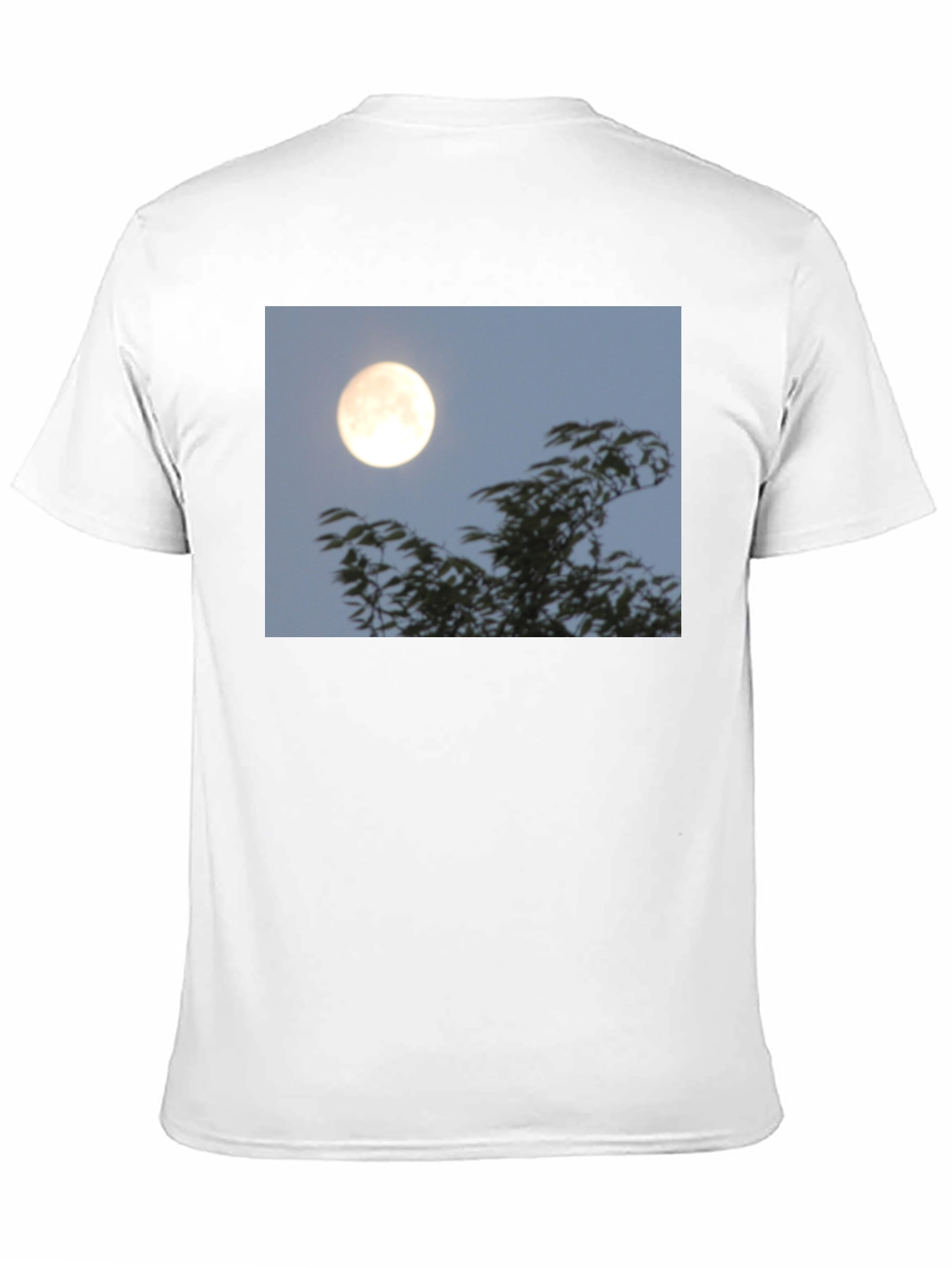 Black Moonlit Trees Graphic Tee - Black Cotton T-Shirt view 11