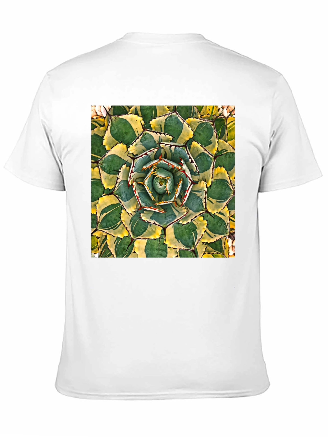 Black Agave Plant Graphic T-Shirt - Black Cotton Tee view 11