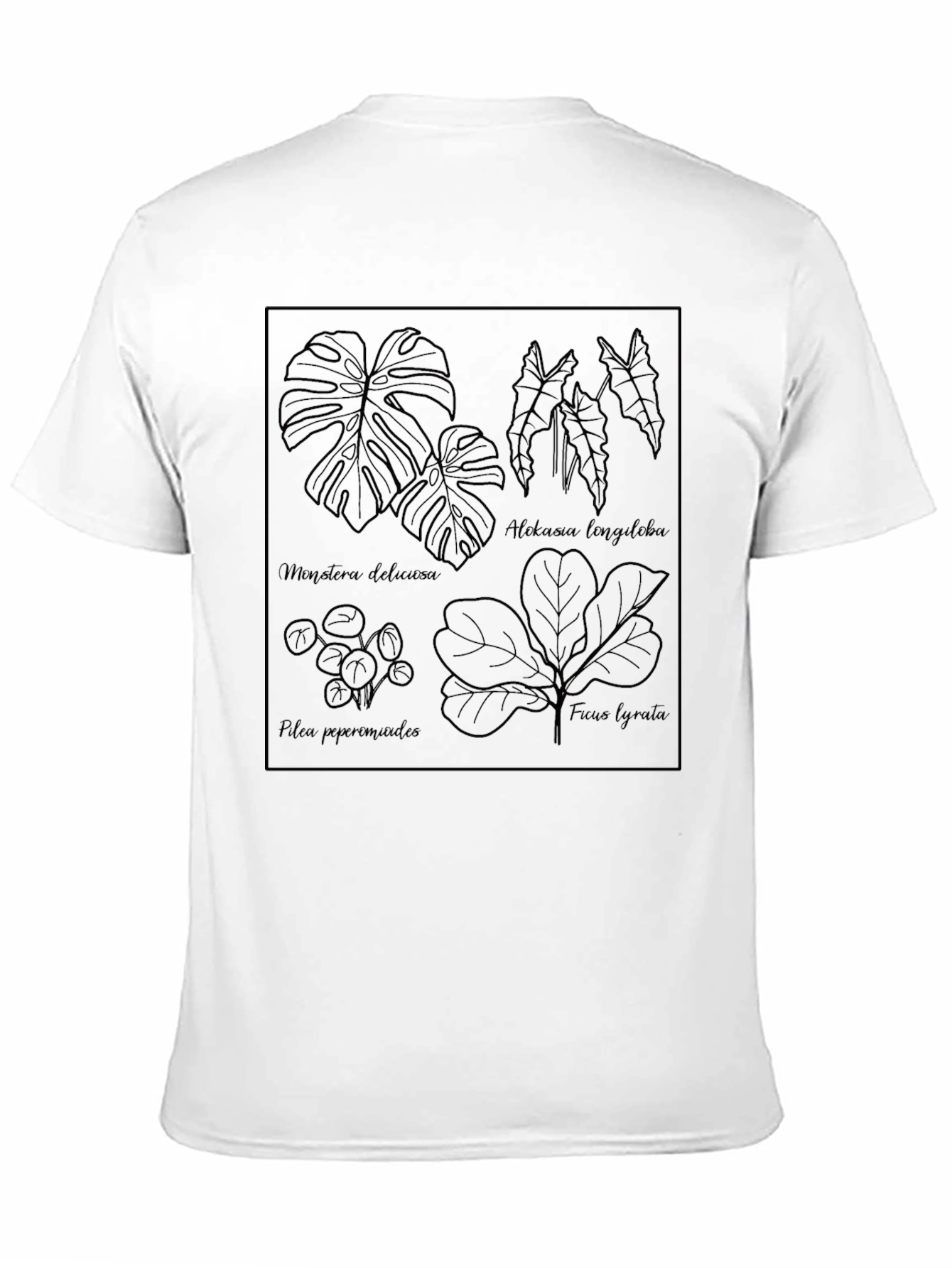 Black Botanical Line Art Tee - Stylish Plant Lover Shirt view 11