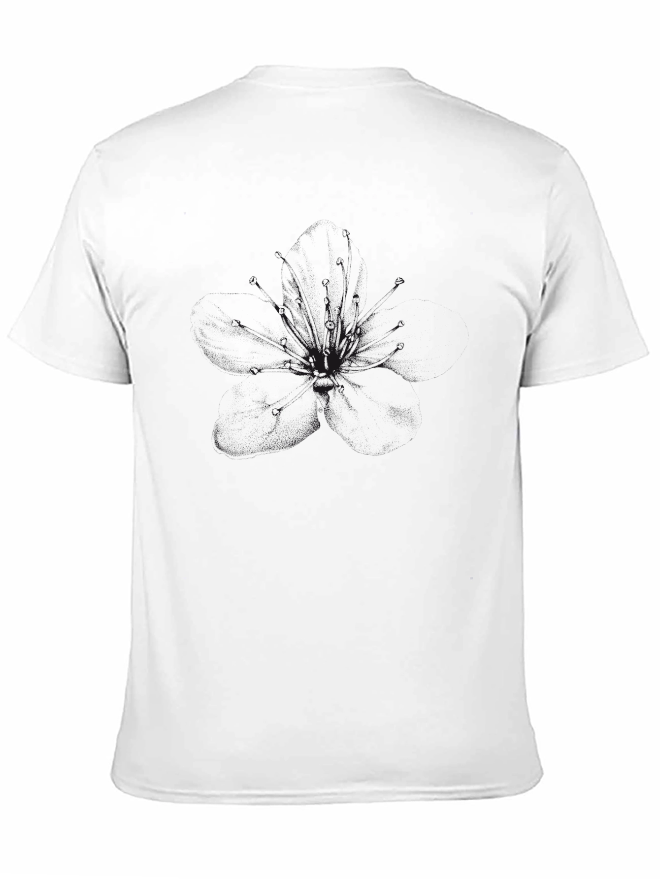 Black Men's Solid Black Crew Neck T-Shirt view 11