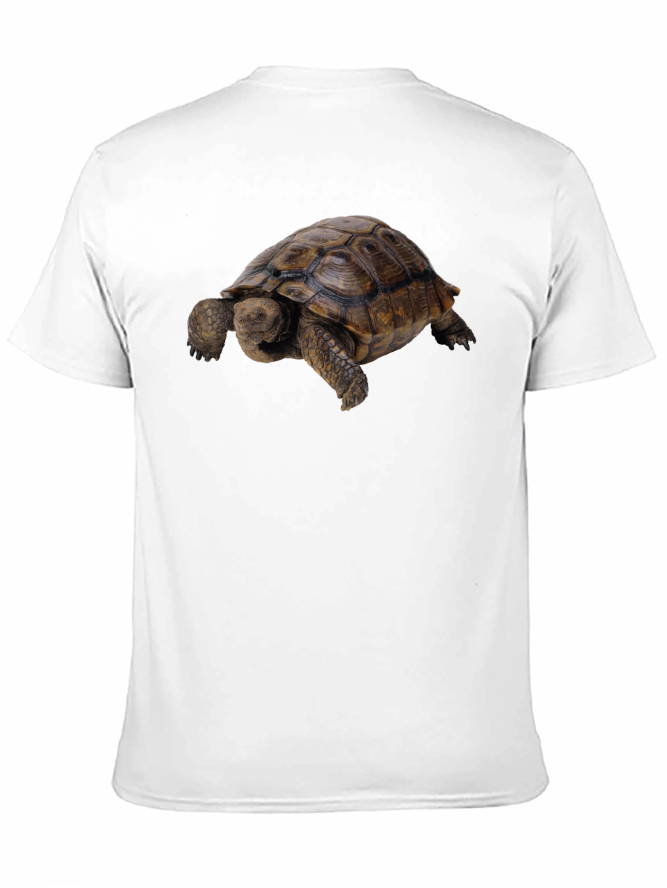 Black Tortoise Graphic Tee - Classic Crew Neck view 11